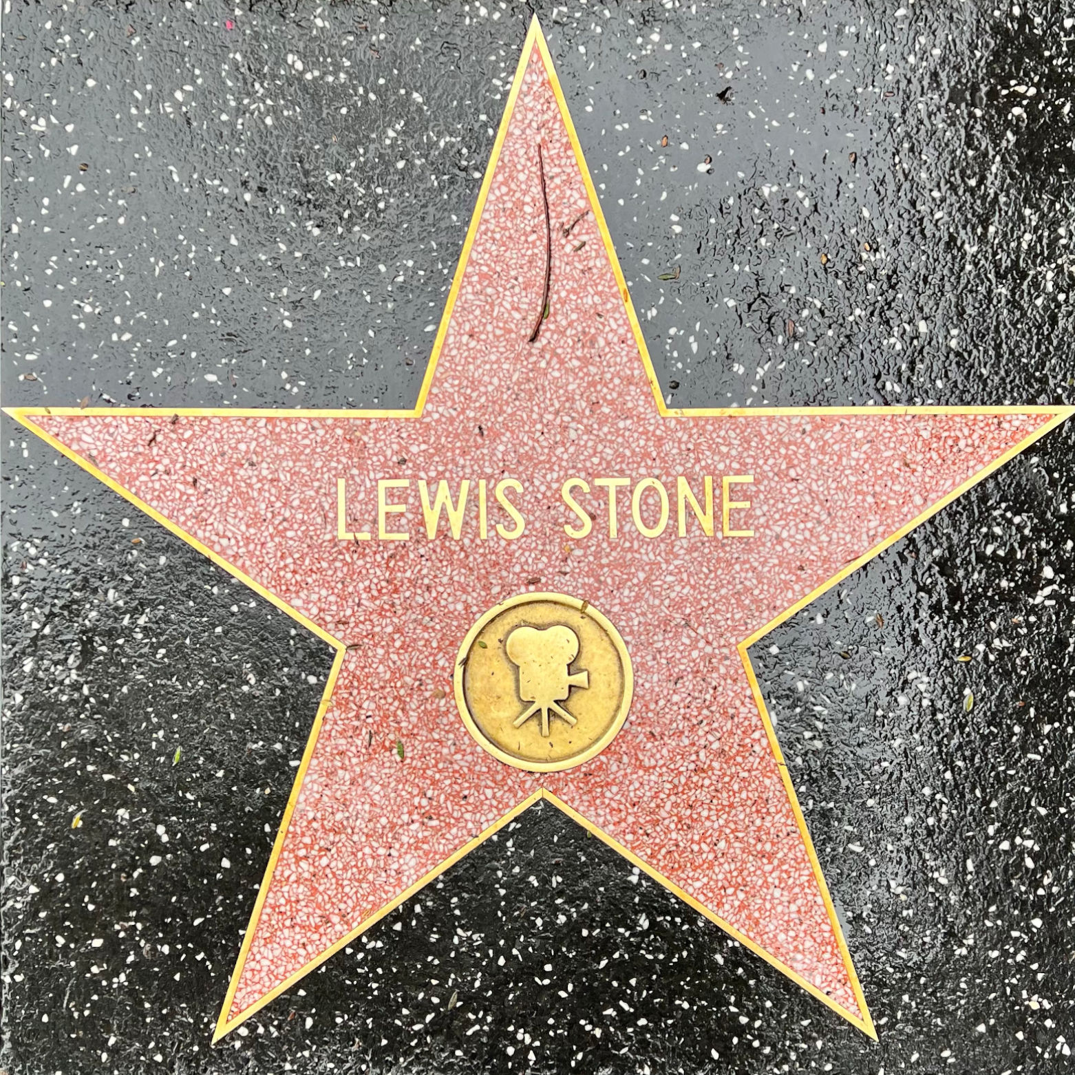Lewis Stone's Motion Pictures Star
