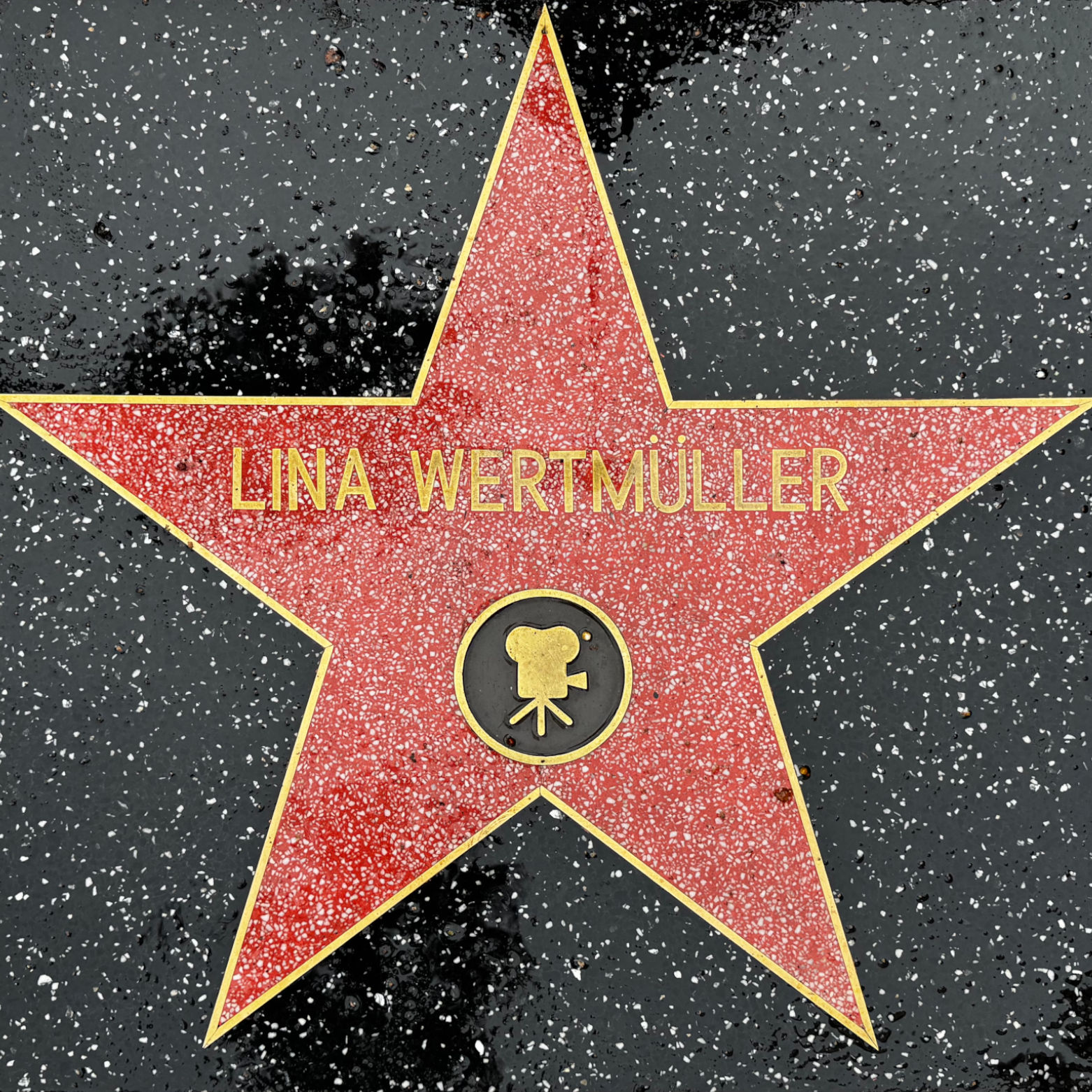 Lina Wertmuller's Motion Pictures Star Lina Wertmuller's Motion Pictures Star