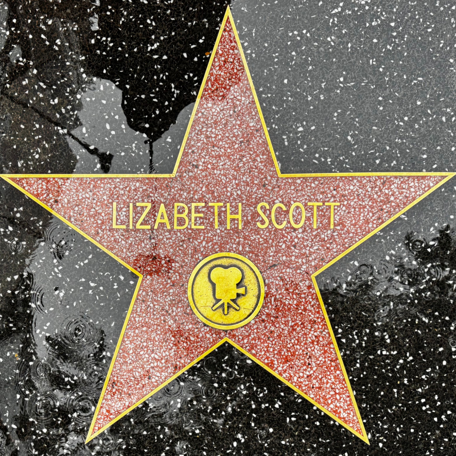 Lizabeth Scott's Motion Pictures Star Lizabeth Scott's Motion Pictures Star