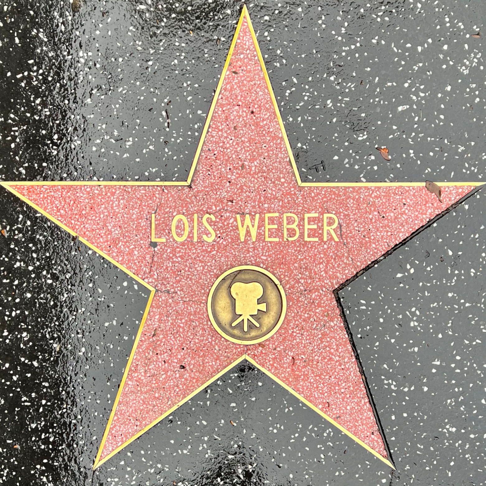 Lois Weber's Motion Pictures Star