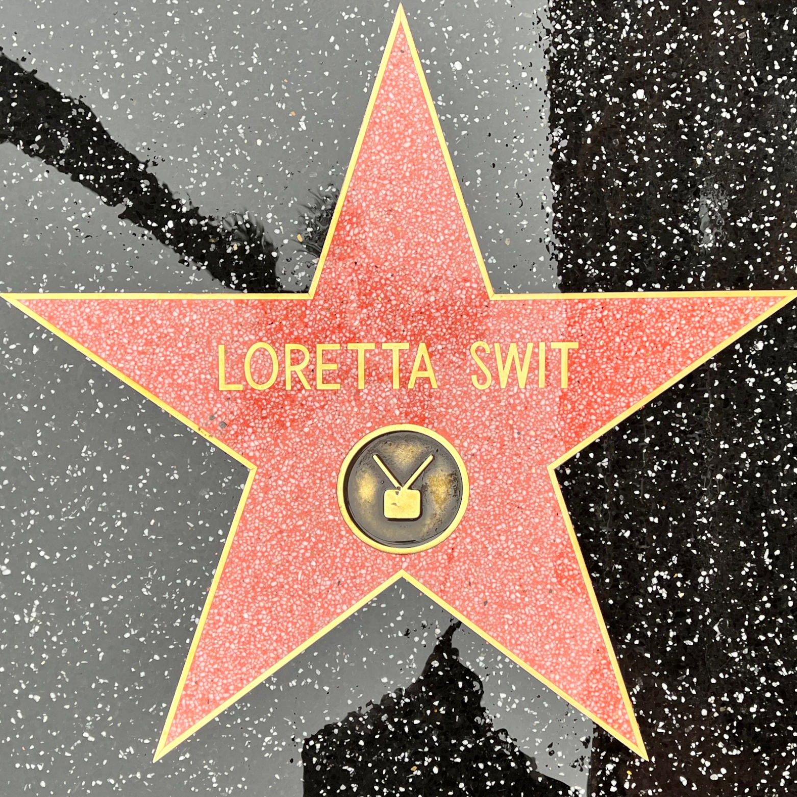 Loretta Swit's Television Star