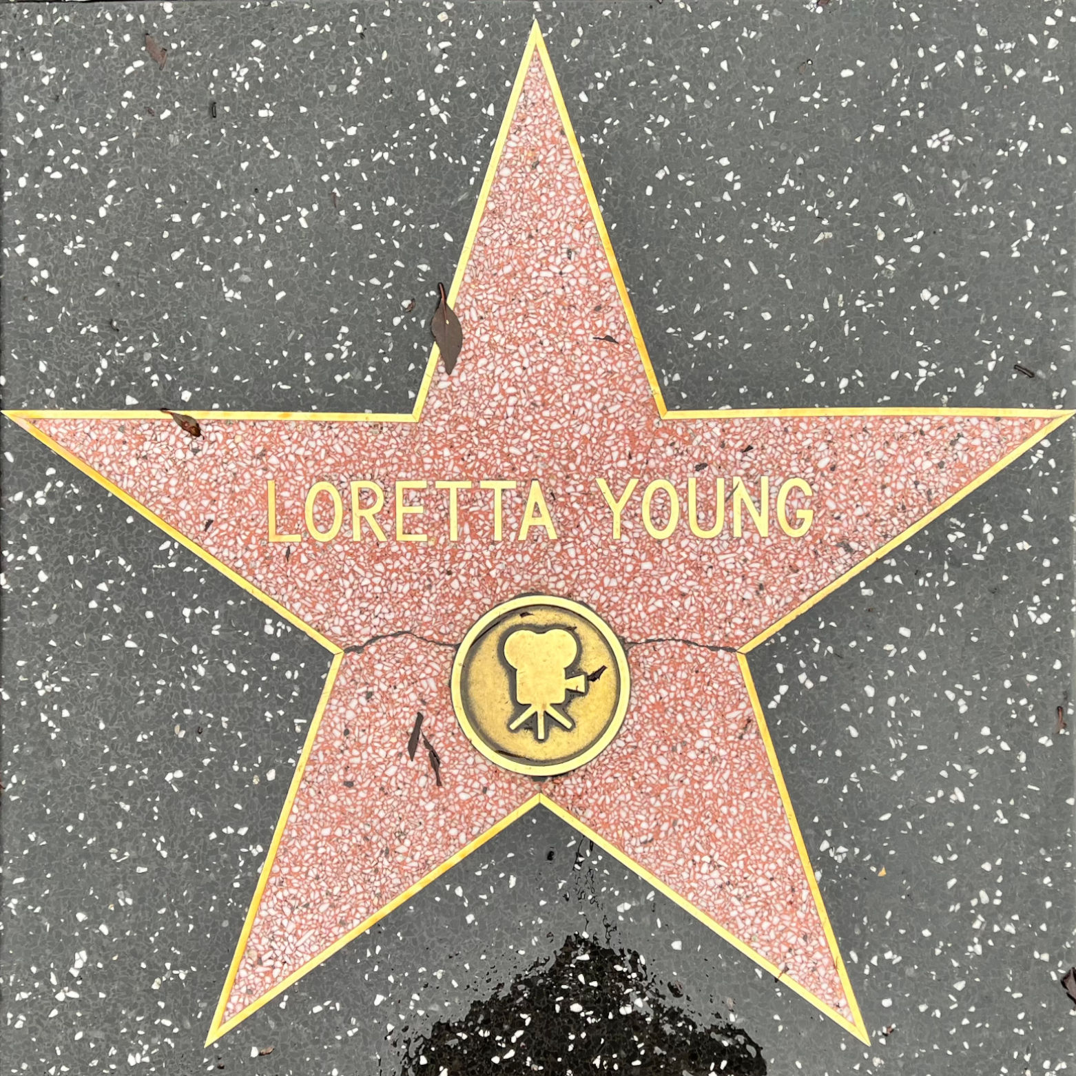 One of Loretta Young's Stars