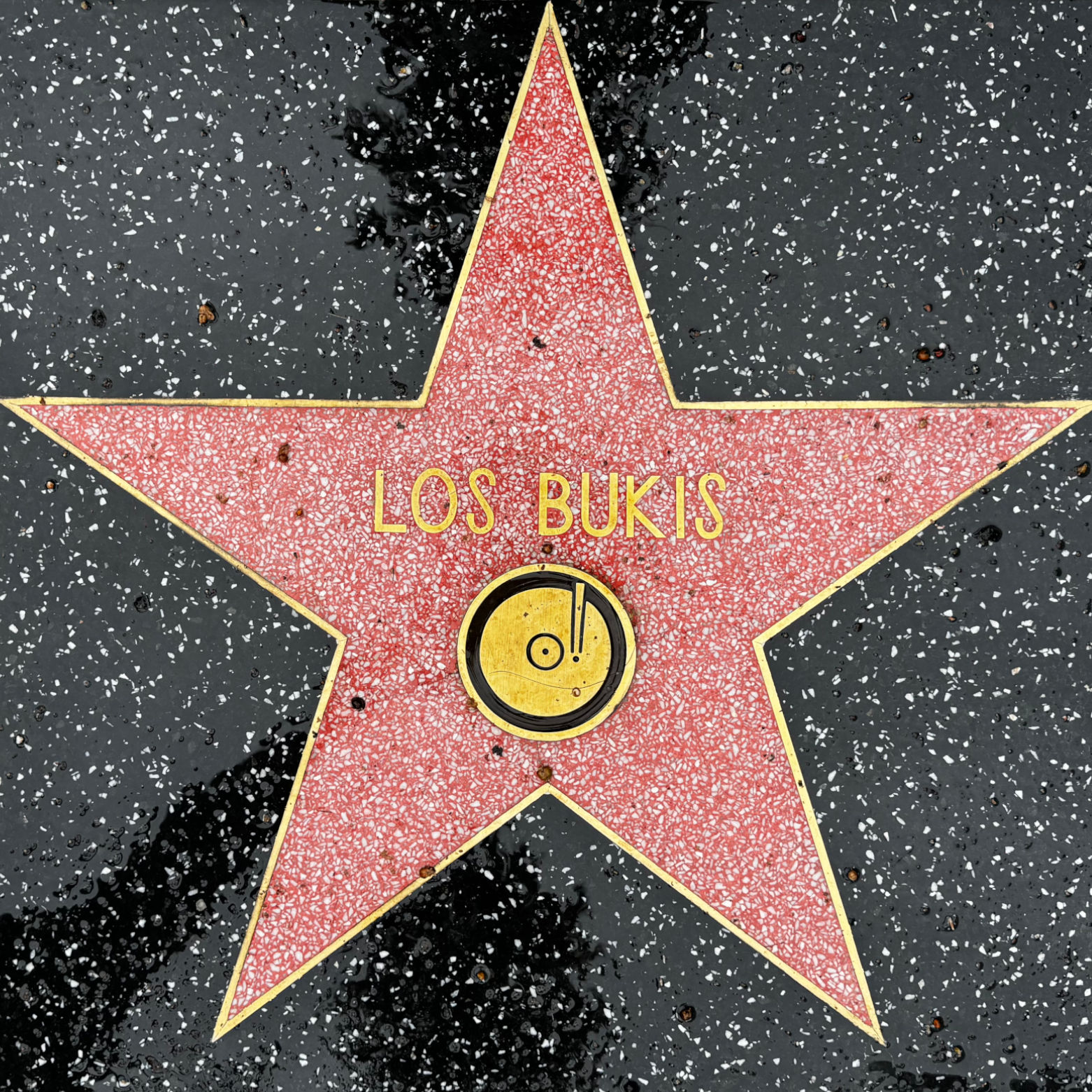 Los Bukis's Recording Star