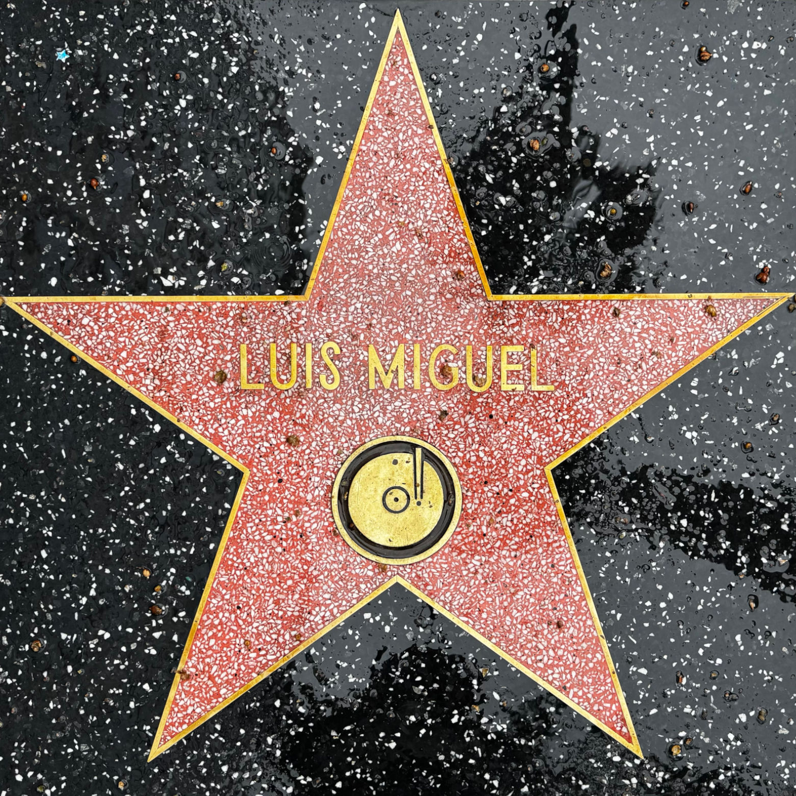 Luis Miguel's Recording Star Luis Miguel's Recording Star