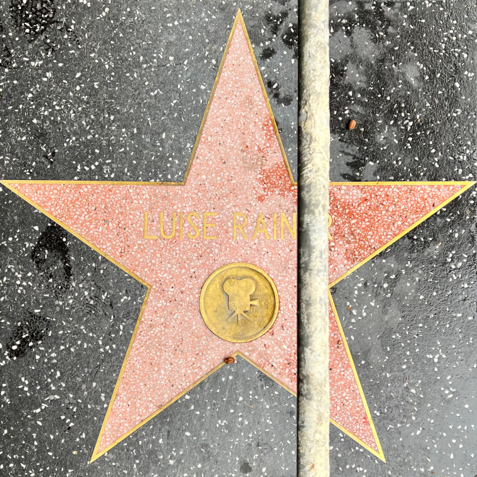 Luise Rainer's Motion Pictures Star