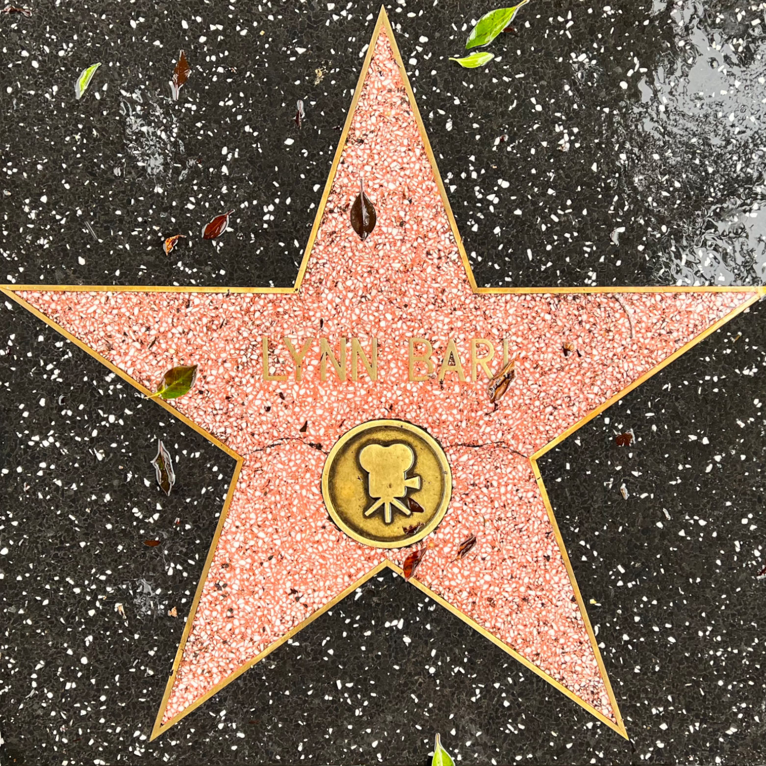 Lynn Bari's Motion Pictures Star