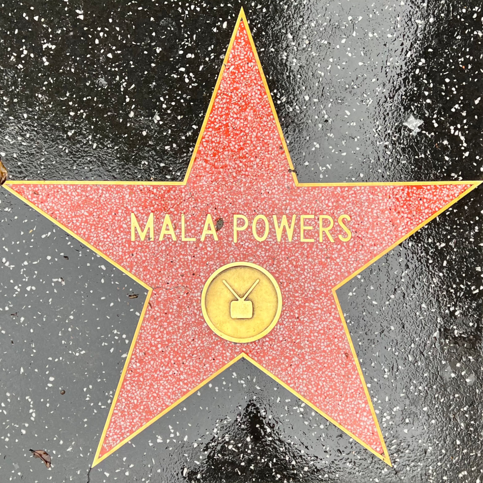 Mala Powers's Television Star
