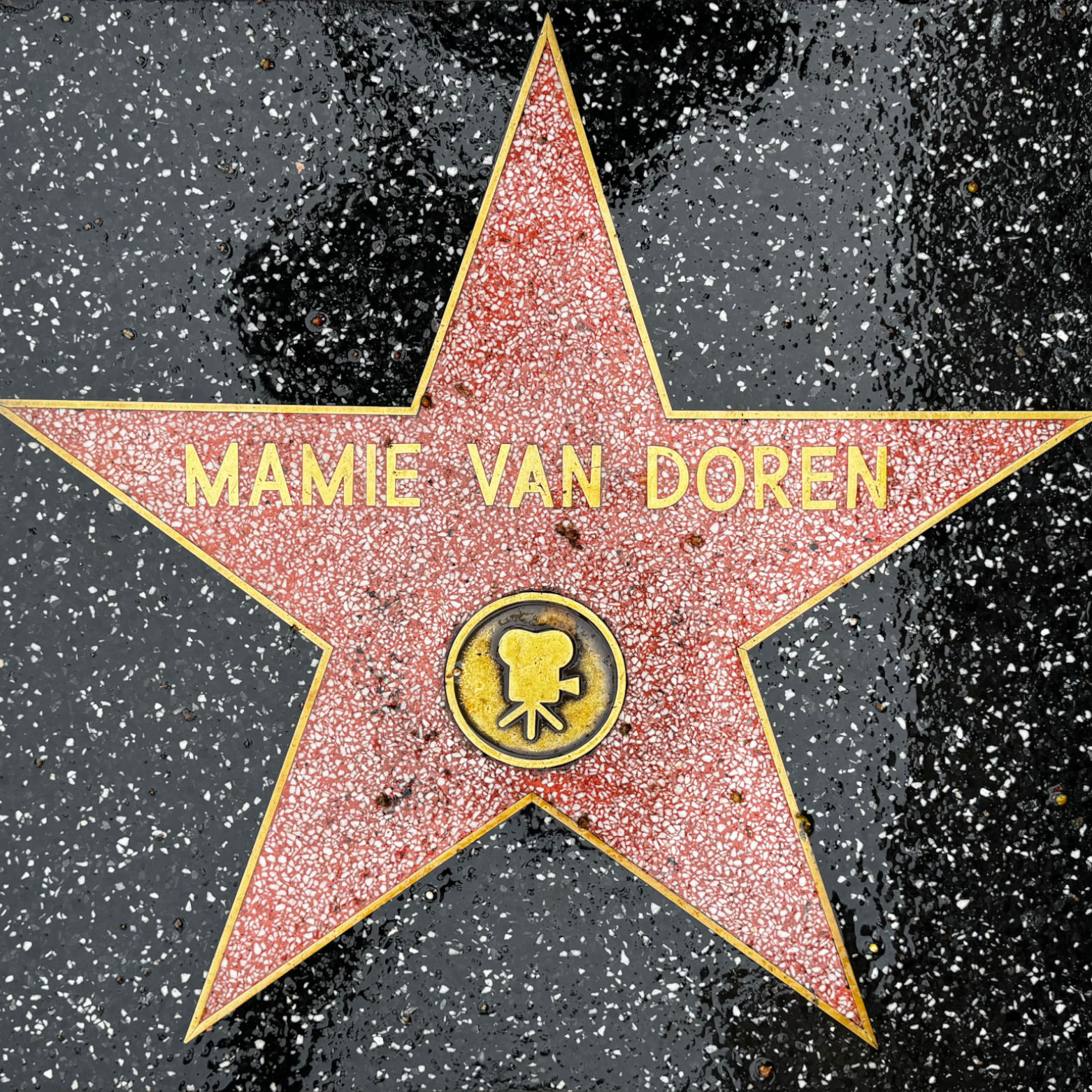 Mamie Van Doren's Motion Pictures Star Mamie Van Doren's Motion Pictures Star
