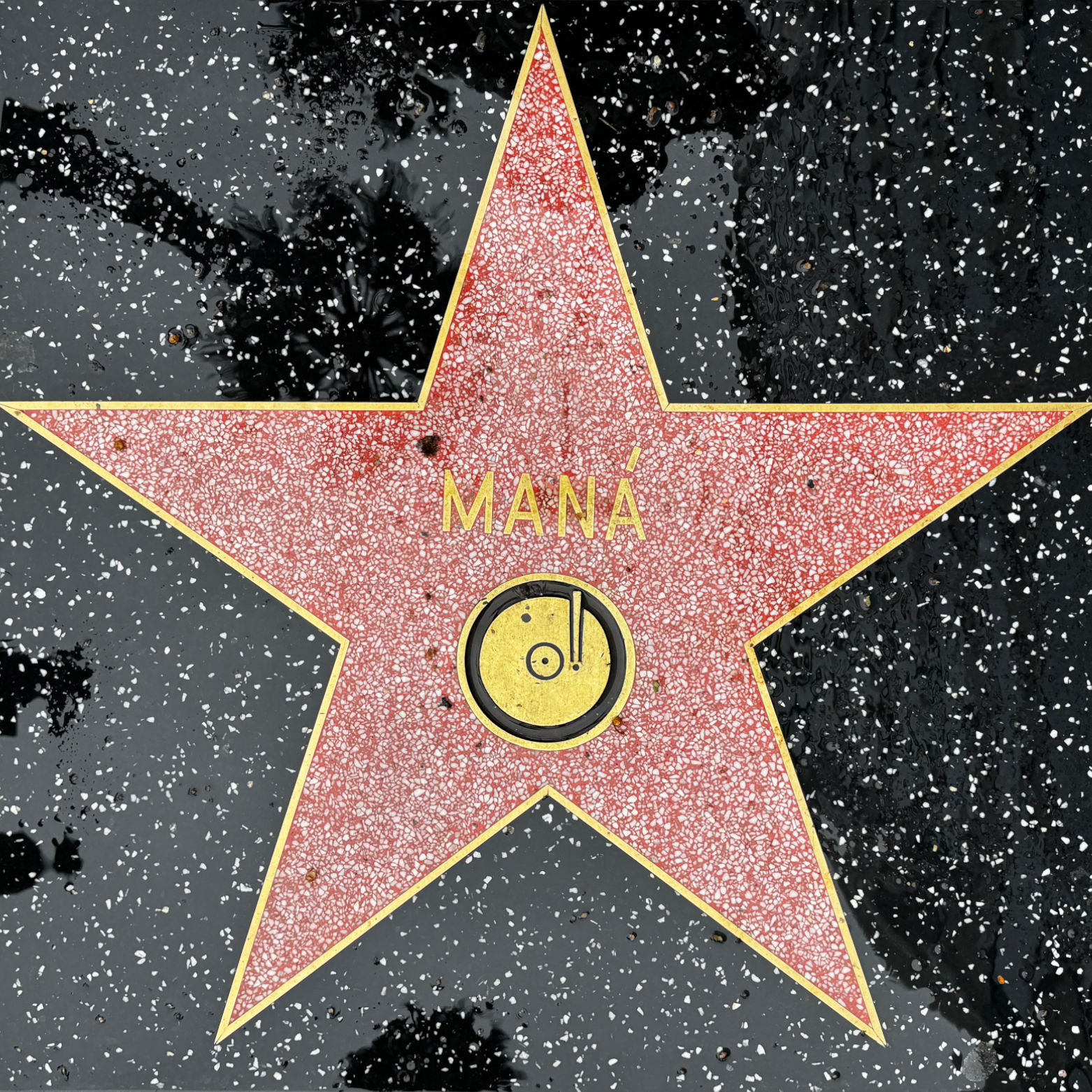 Mana's Recording Star Mana's Recording Star