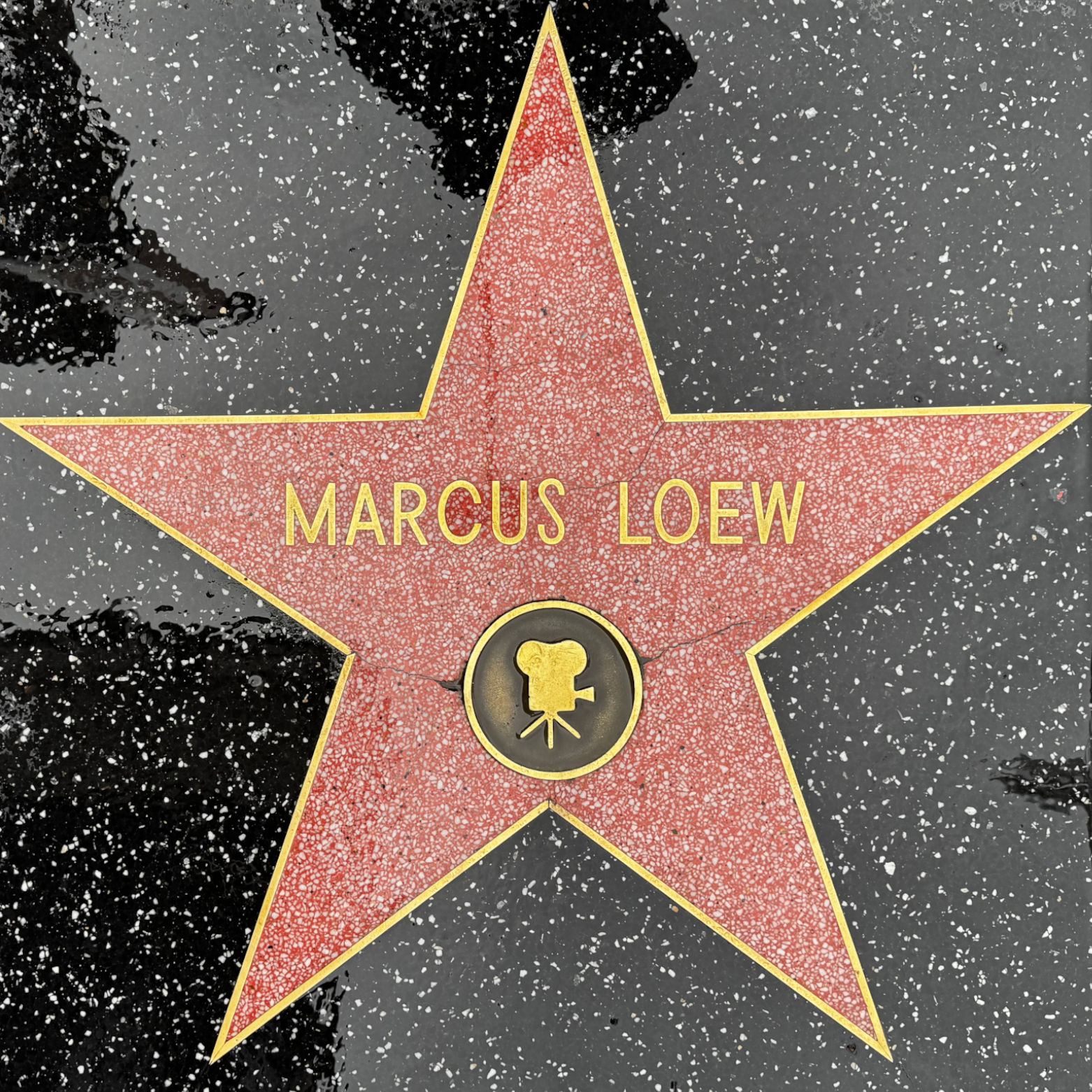 Marcus Loew's Motion Pictures Star Marcus Loew's Motion Pictures Star