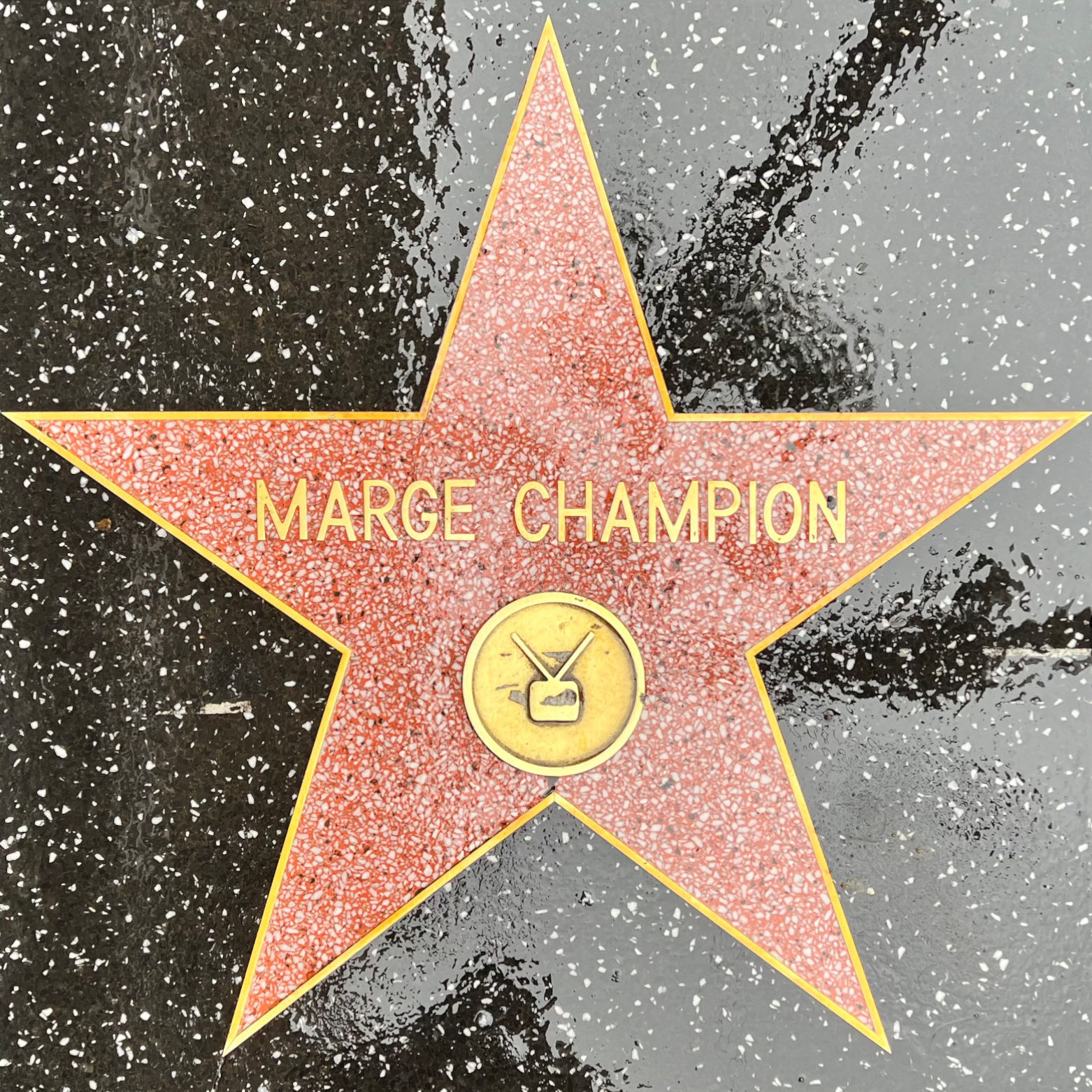 Marge Champion's Television Star