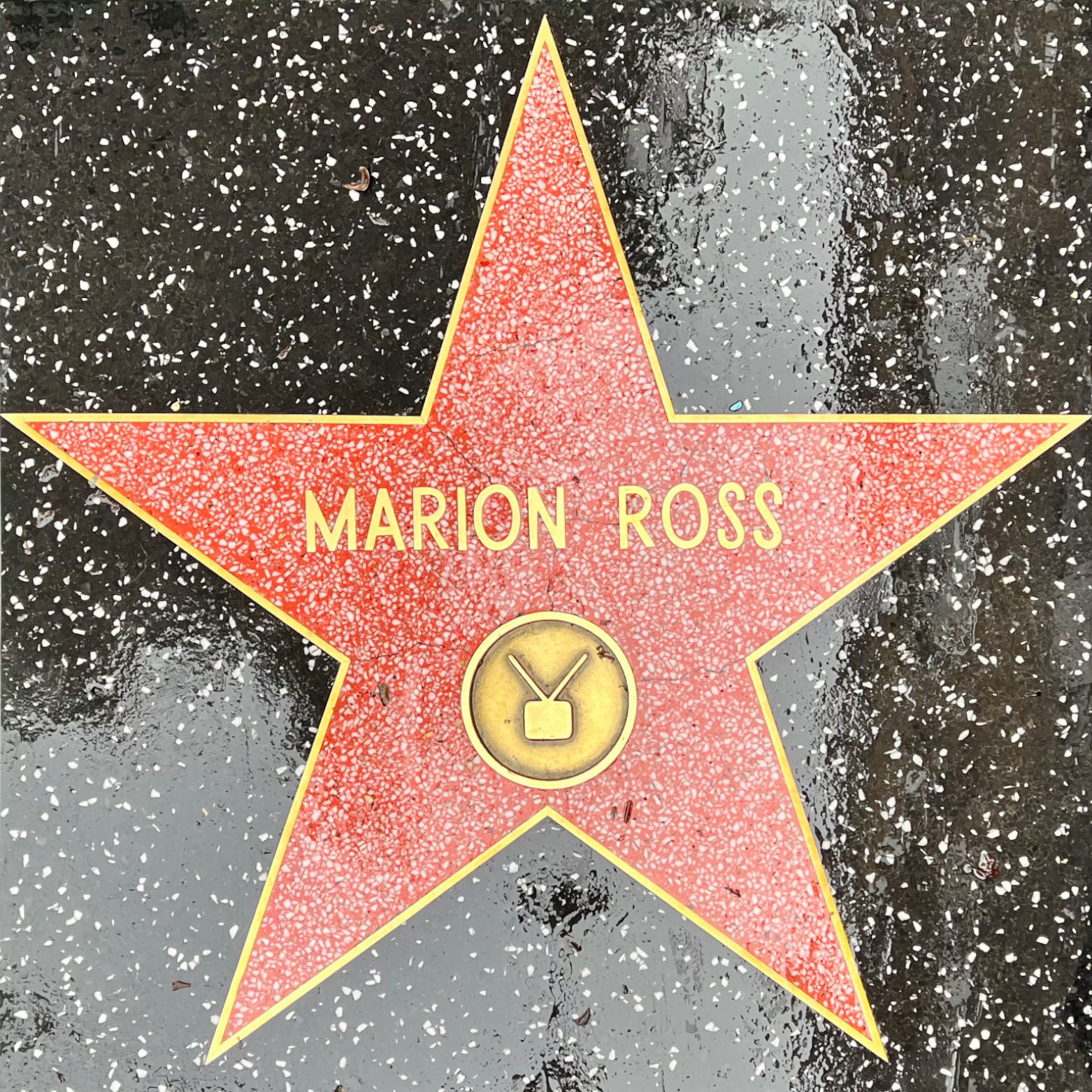 Marion Ross's Television Star
