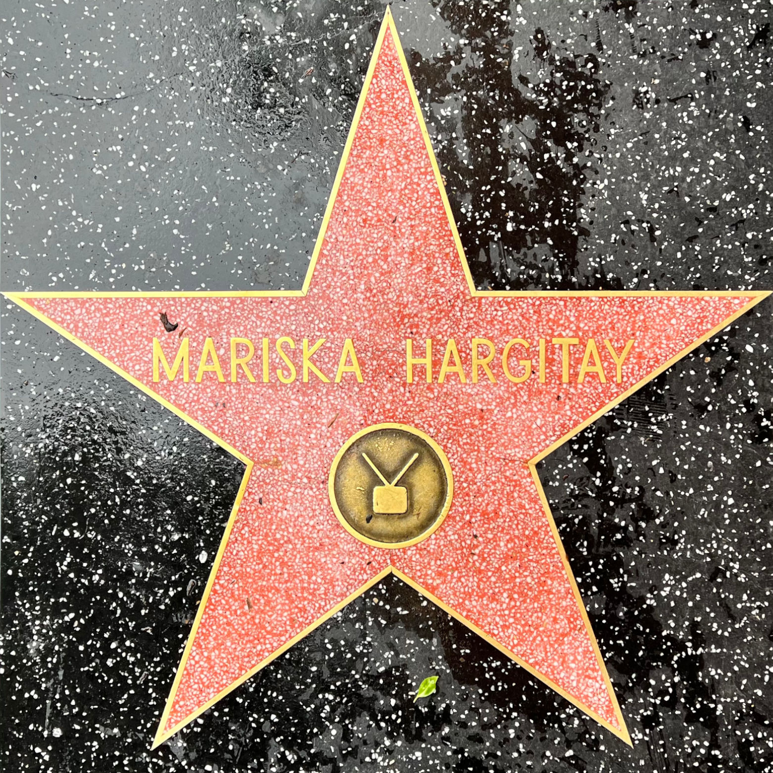 Mariska Hargitay's Television Star
