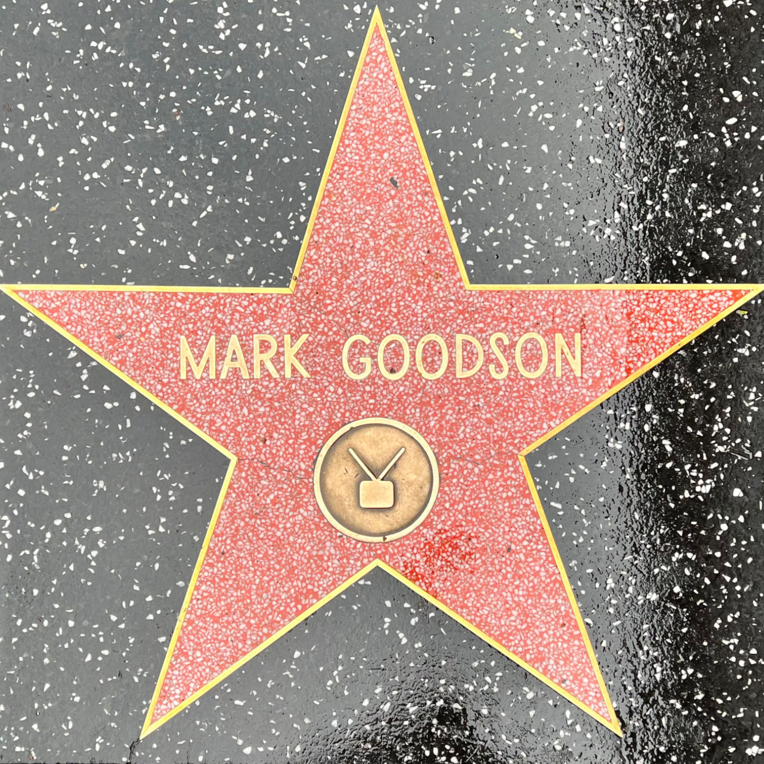 Mark Goodson's Television Star Mark Goodson's Television Star