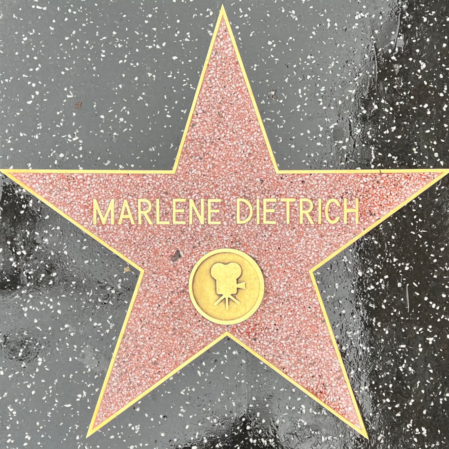 Marlene Dietrich's Motion Pictures Star