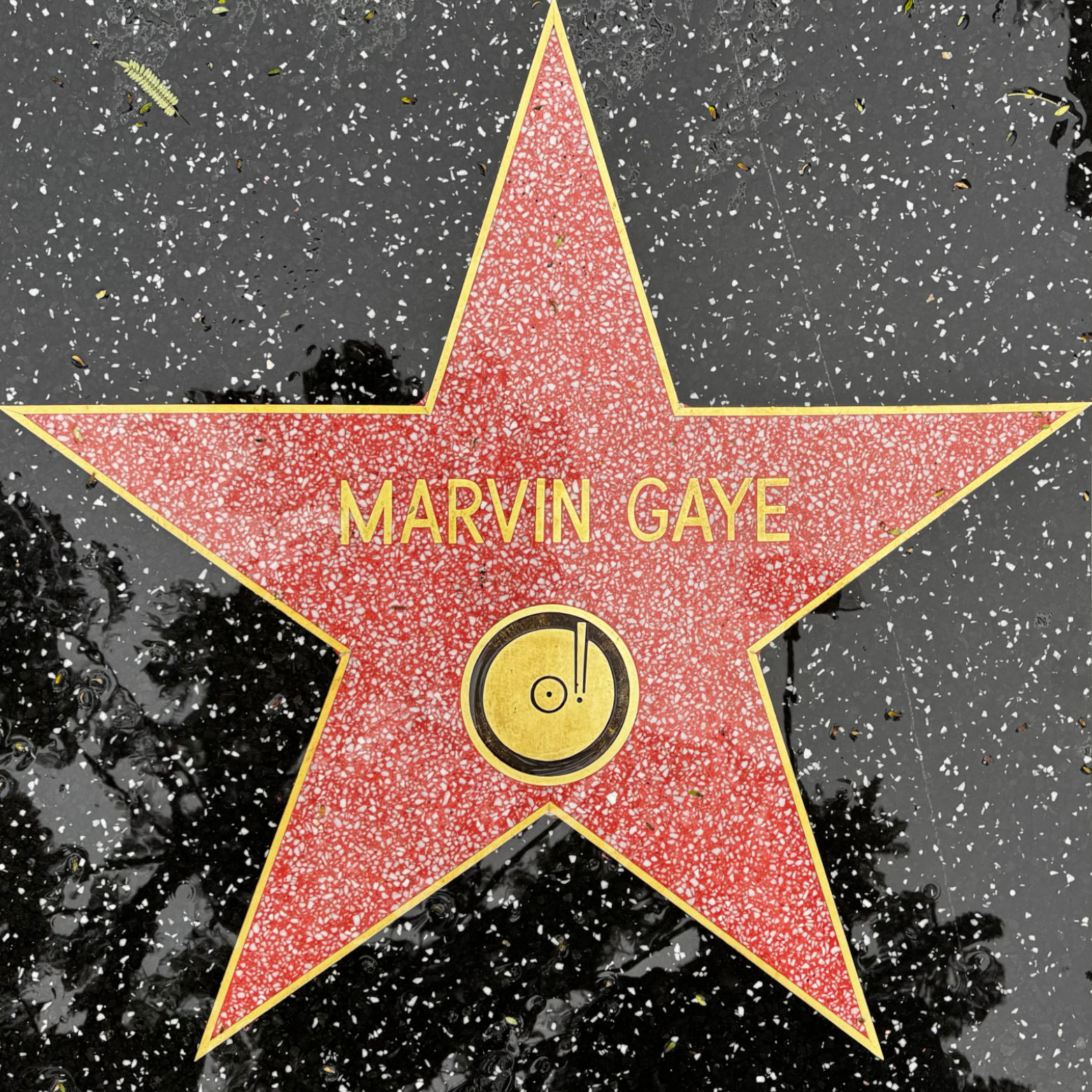 Marvin Gaye's Recording Star