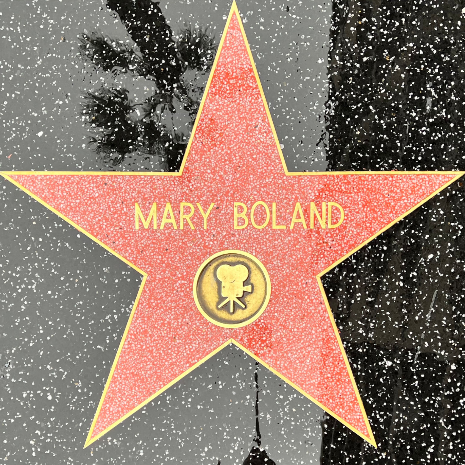 Mary Boland's Motion Pictures Star