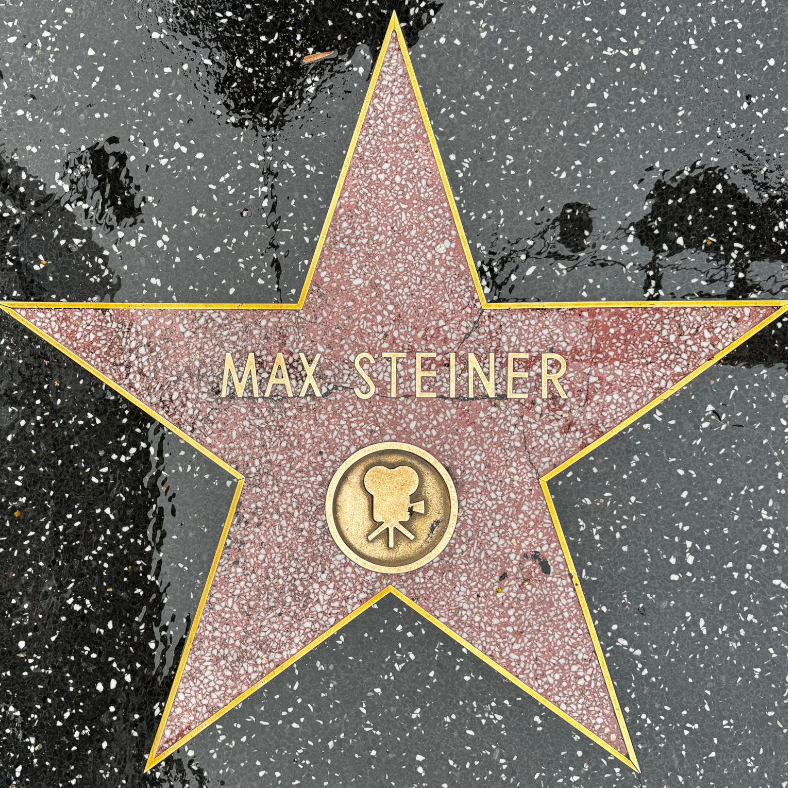 Max Steiner's Motion Pictures Star Max Steiner's Motion Pictures Star