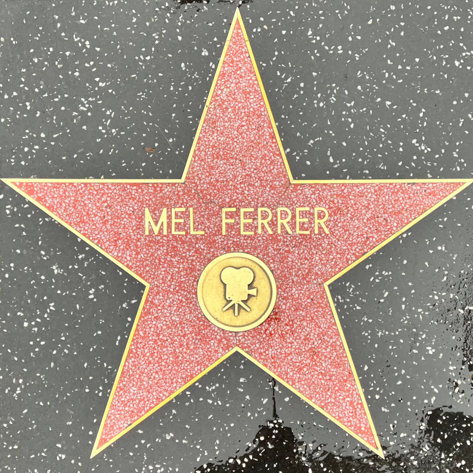 Mel Ferrer's Motion Pictures Star