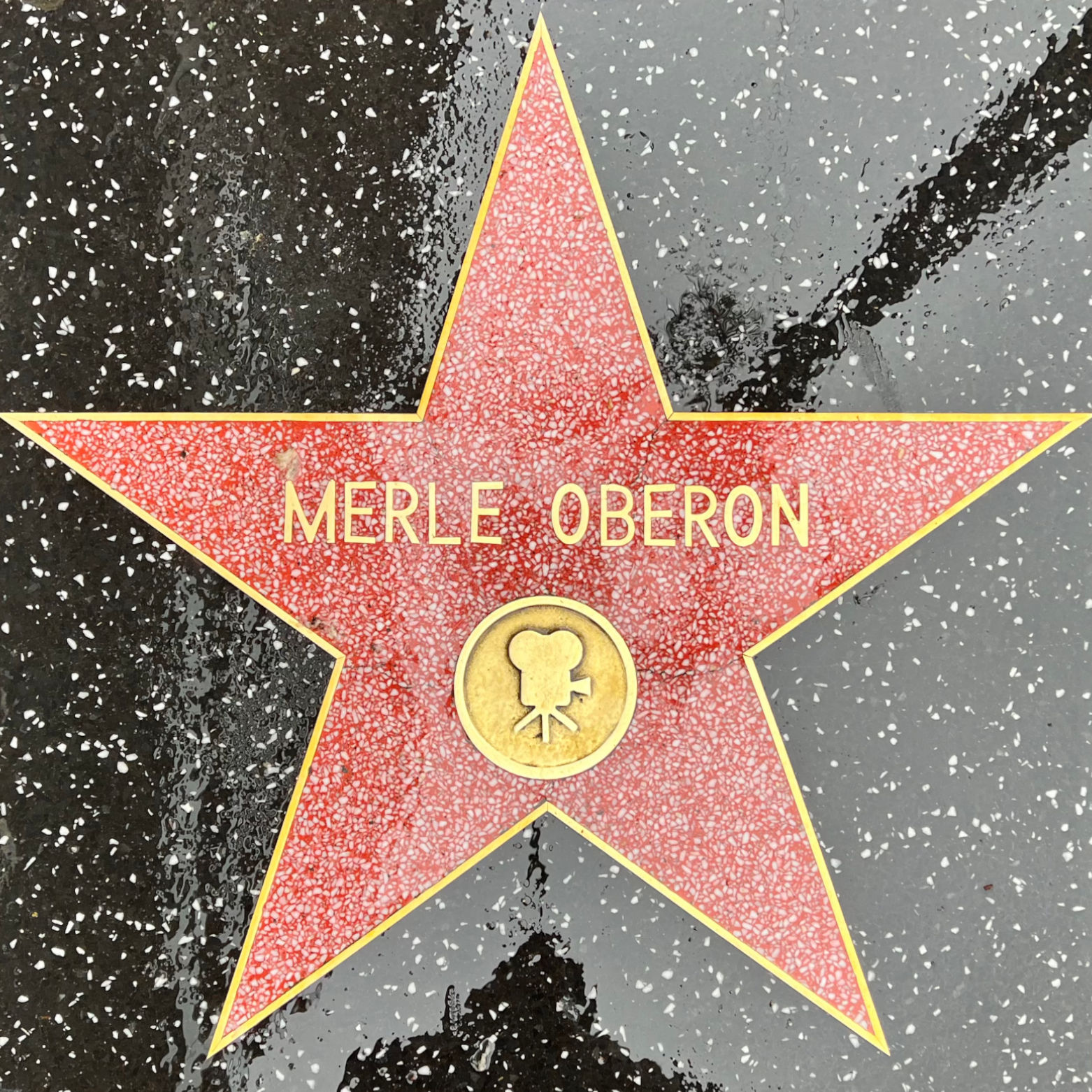 Merle Oberon's Motion Pictures Star