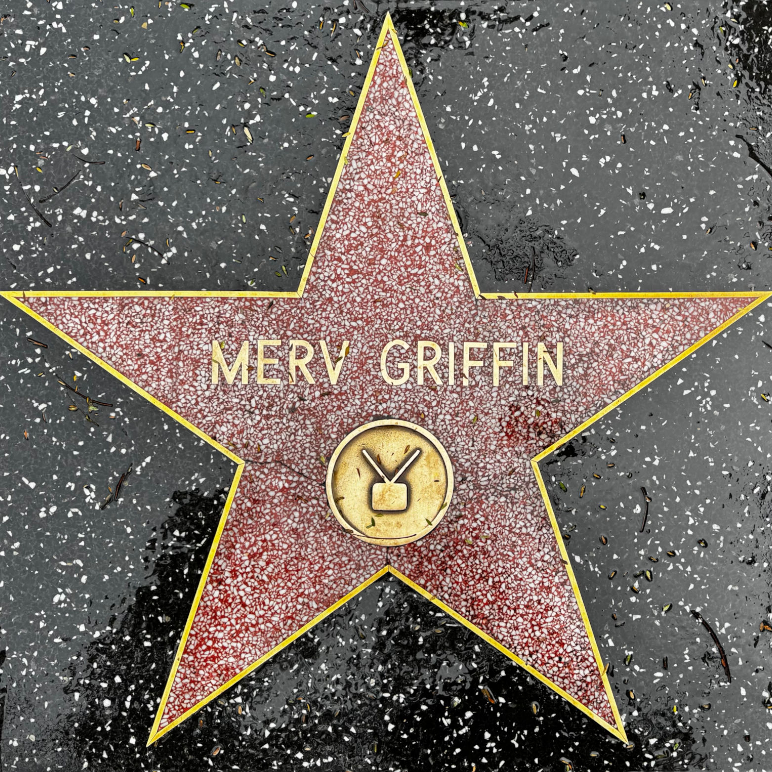 Merv Griffin's Television Star