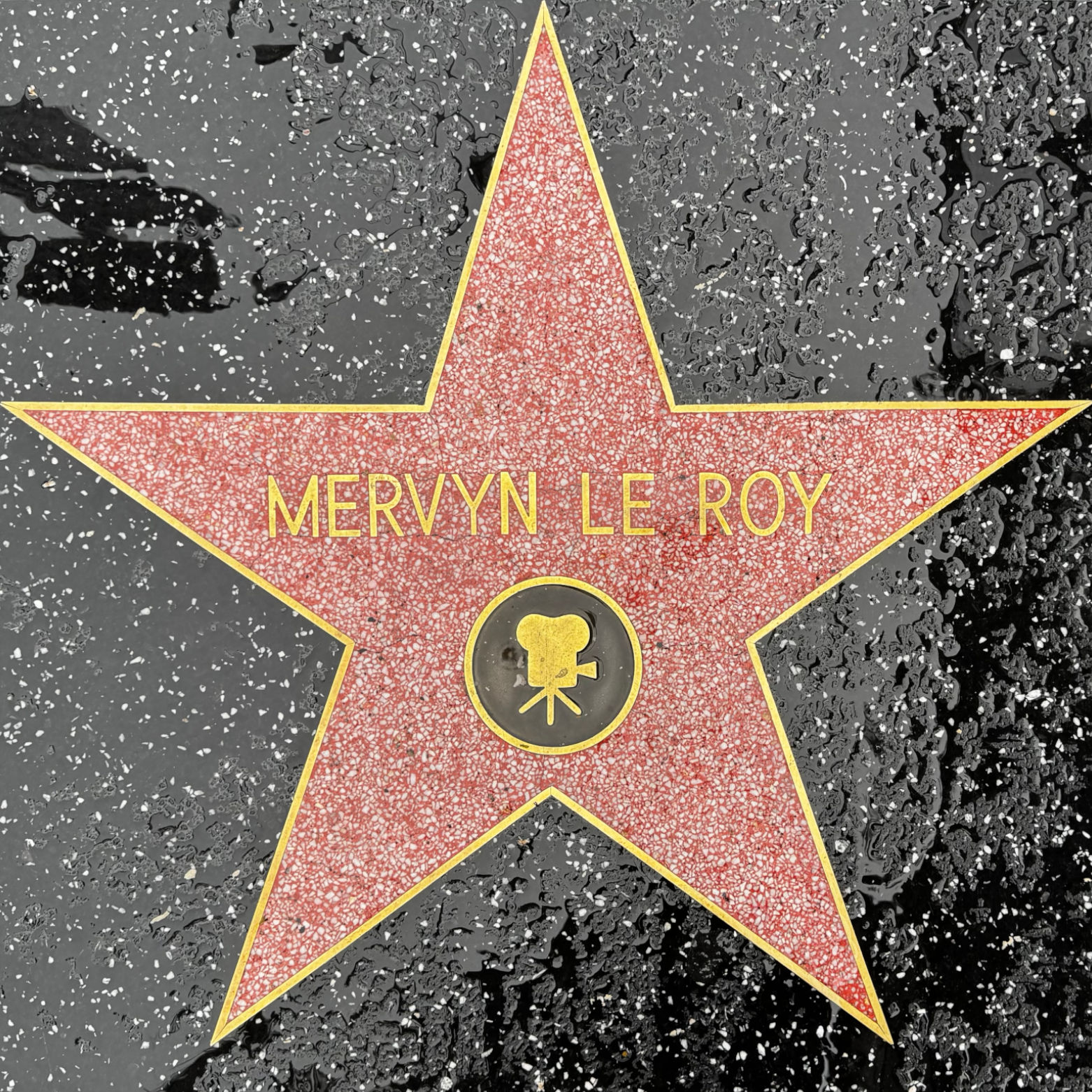 Mervyn LeRoy's Motion Pictures Star Mervyn LeRoy's Motion Pictures Star