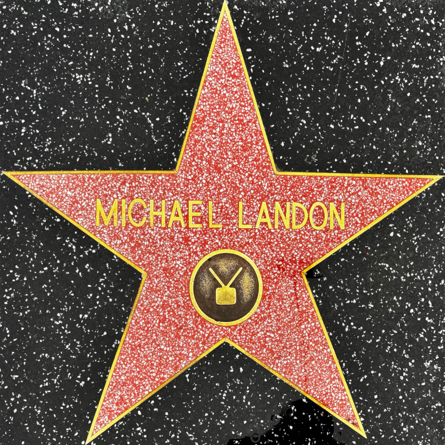 Michael Landon's Television Star Michael Landon's Television Star