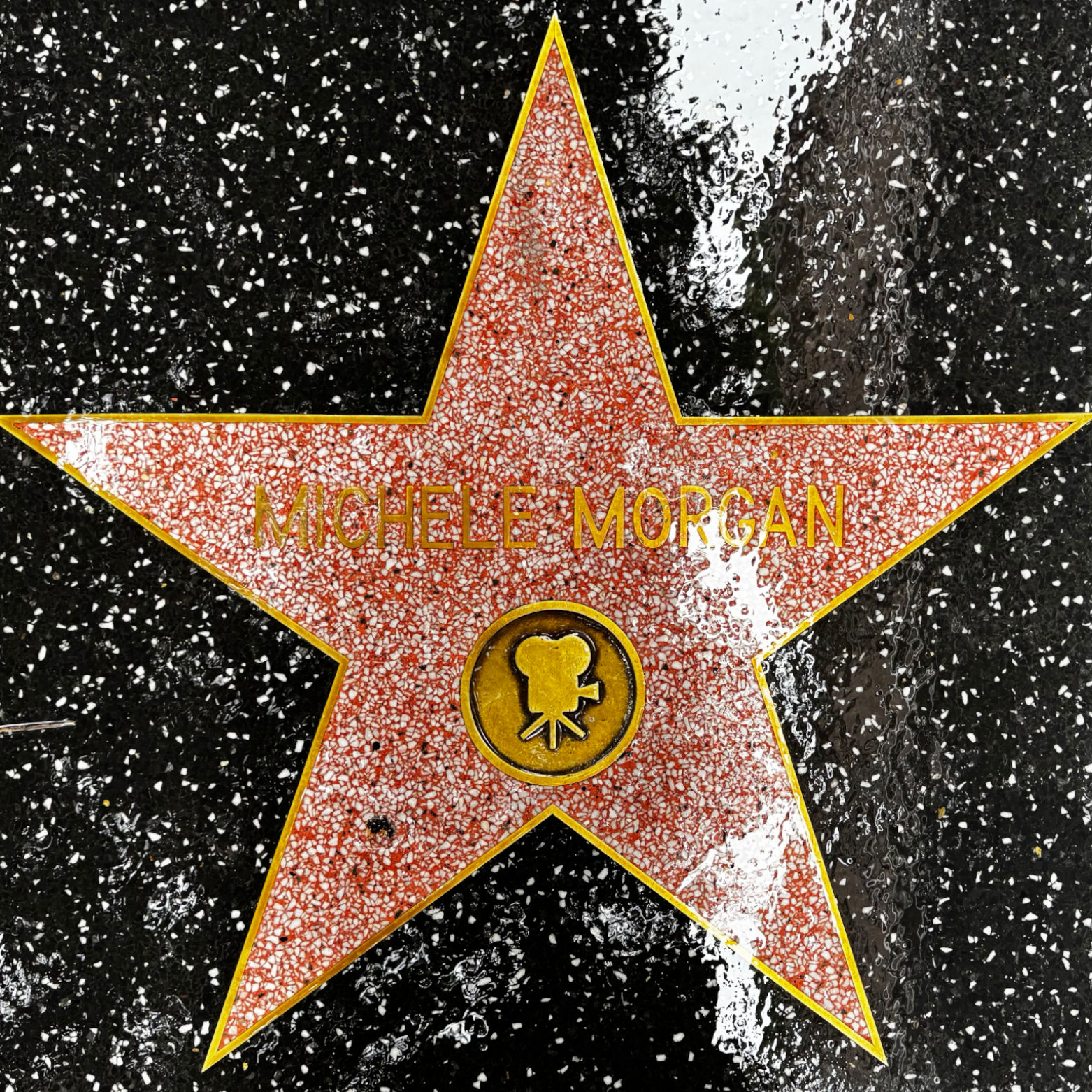 Michele Morgan's Motion Pictures Star Michele Morgan's Motion Pictures Star