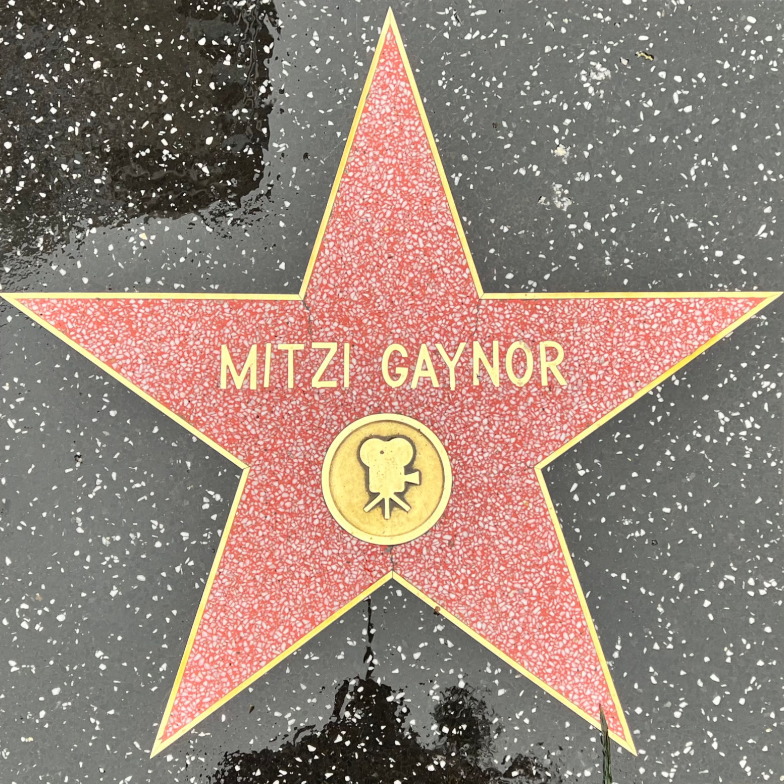 Mitzi Gaynor's Motion Pictures Star