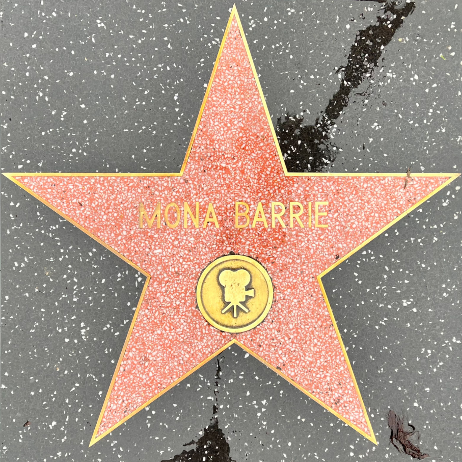 Mona Barrie's Motion Pictures Star
