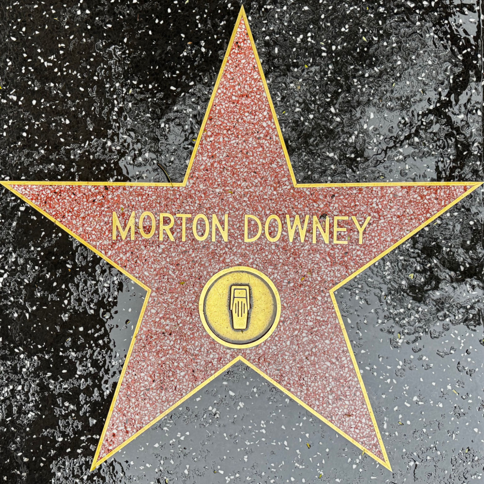 Morton Downey's Radio Star