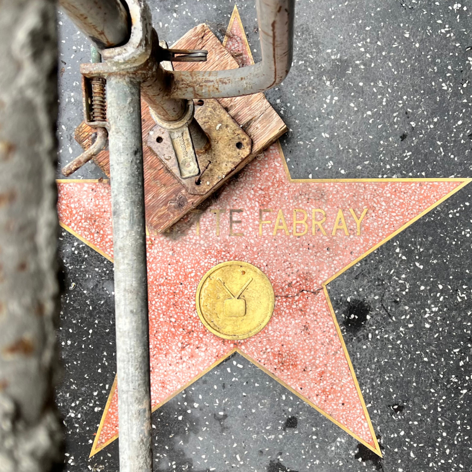 Nanette Fabray's Television Star