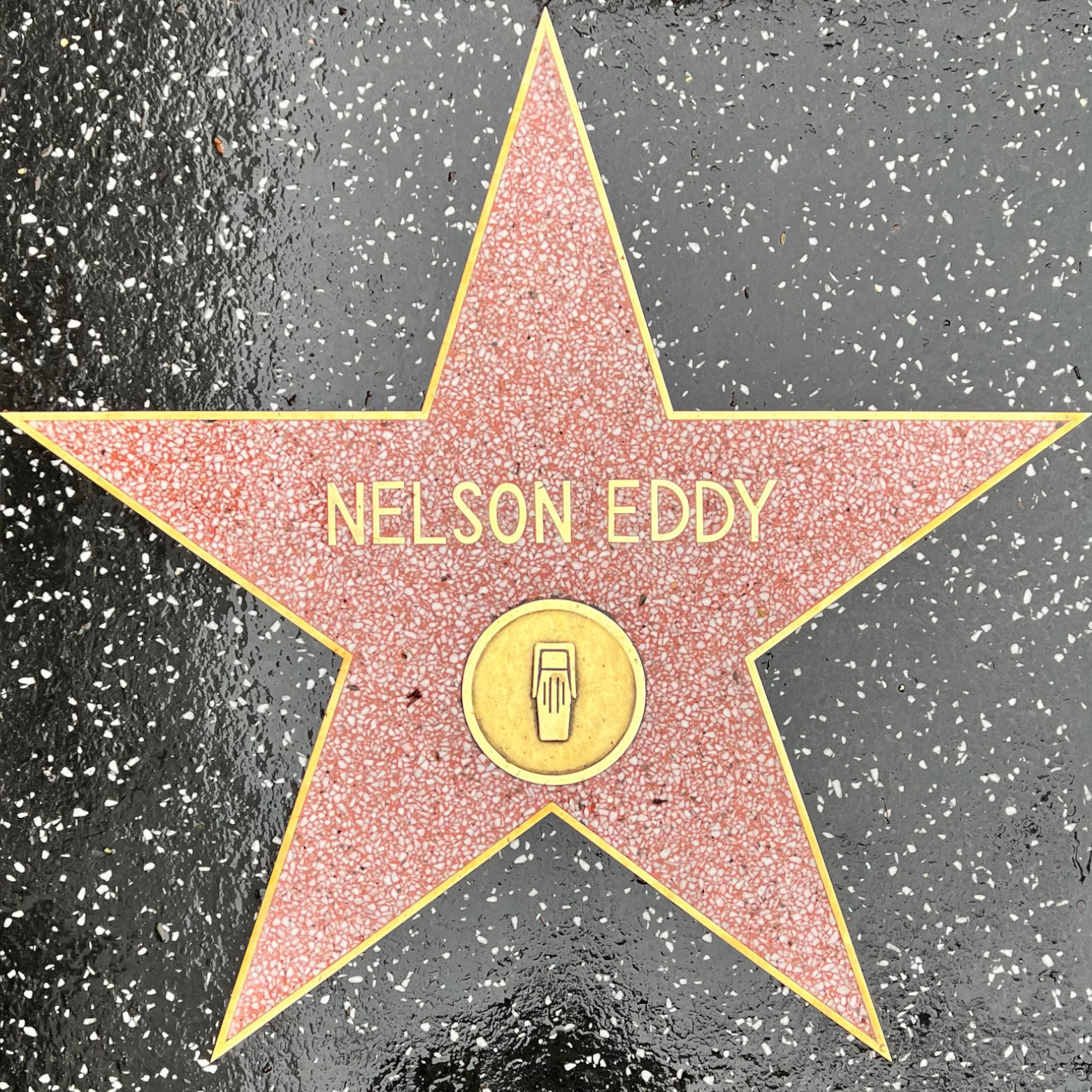 Nelson Eddy's Radio Star