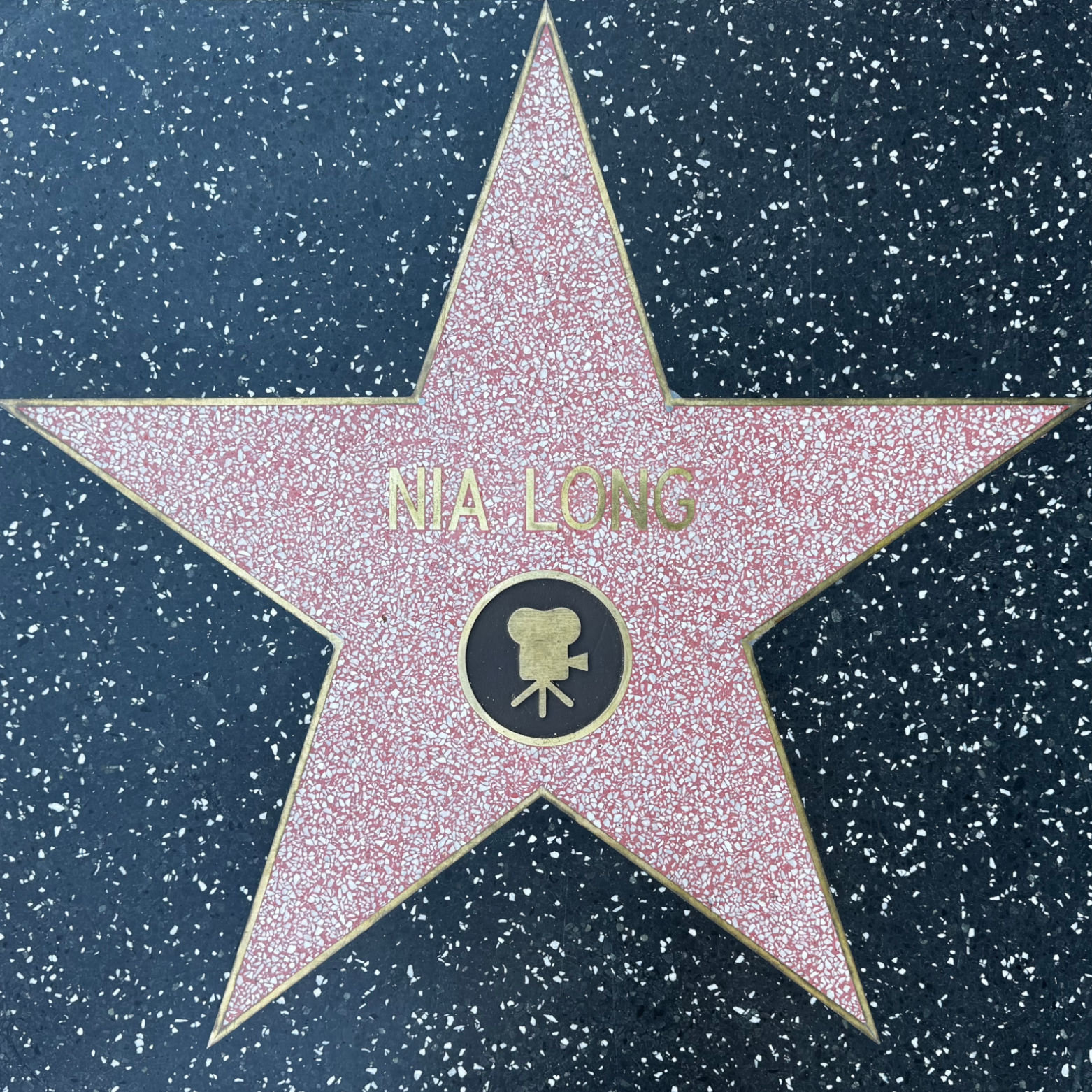 Nia Long's Motion Pictures Star Nia Long's Motion Pictures Star