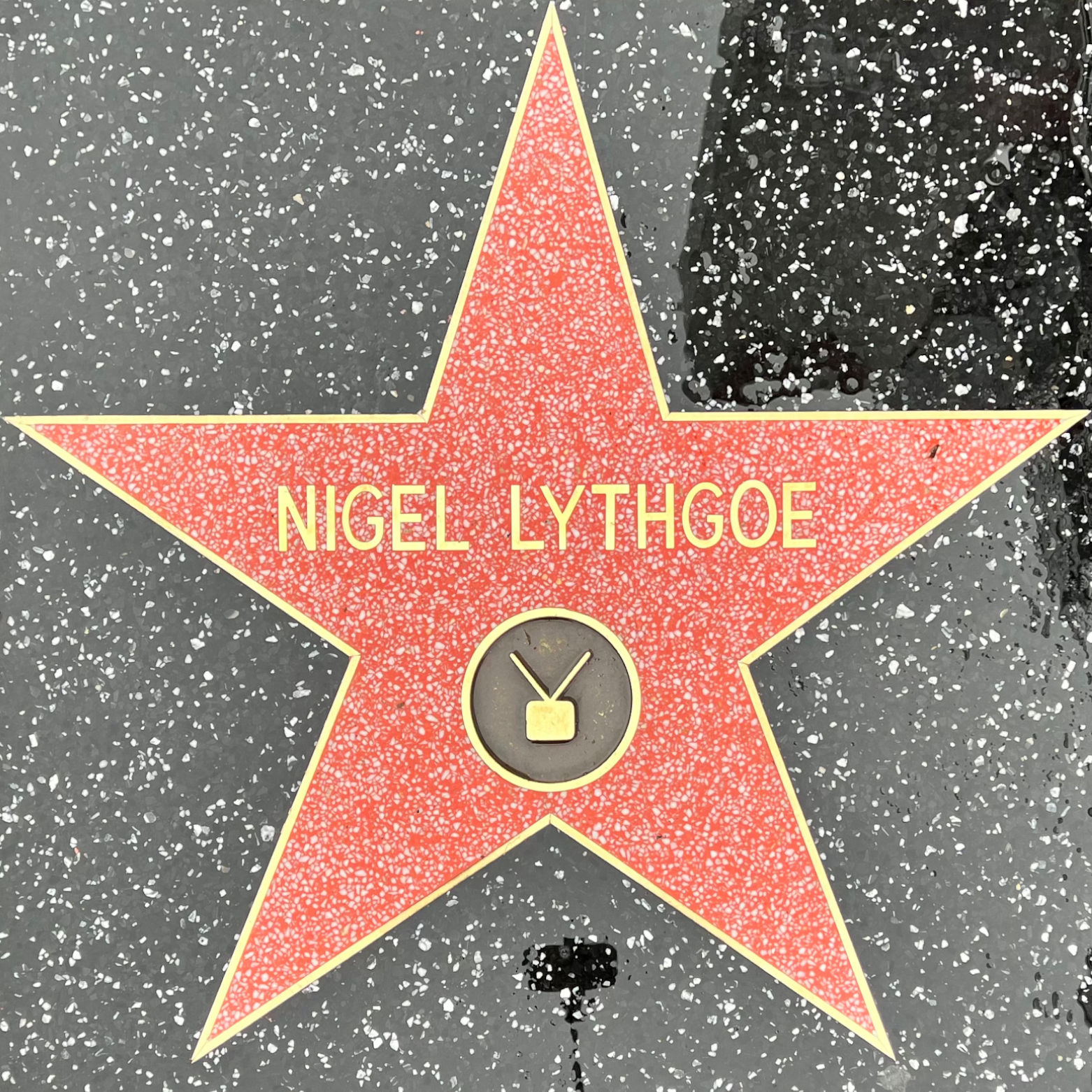 Nigel Lythgoe's Television Star