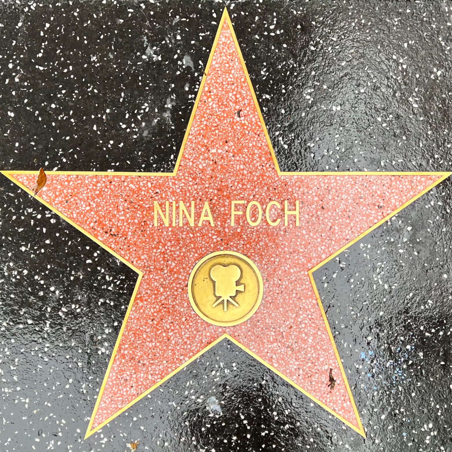 Nina Foch's Motion Pictures Star