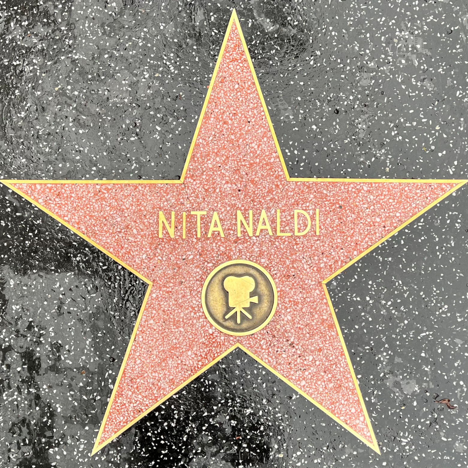 Nita Naldi's Motion Pictures Star