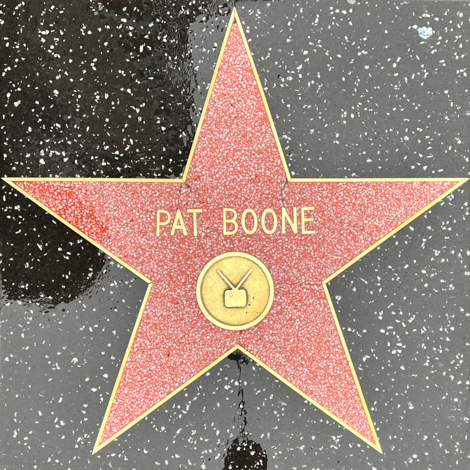 Pat Boone's Television Star