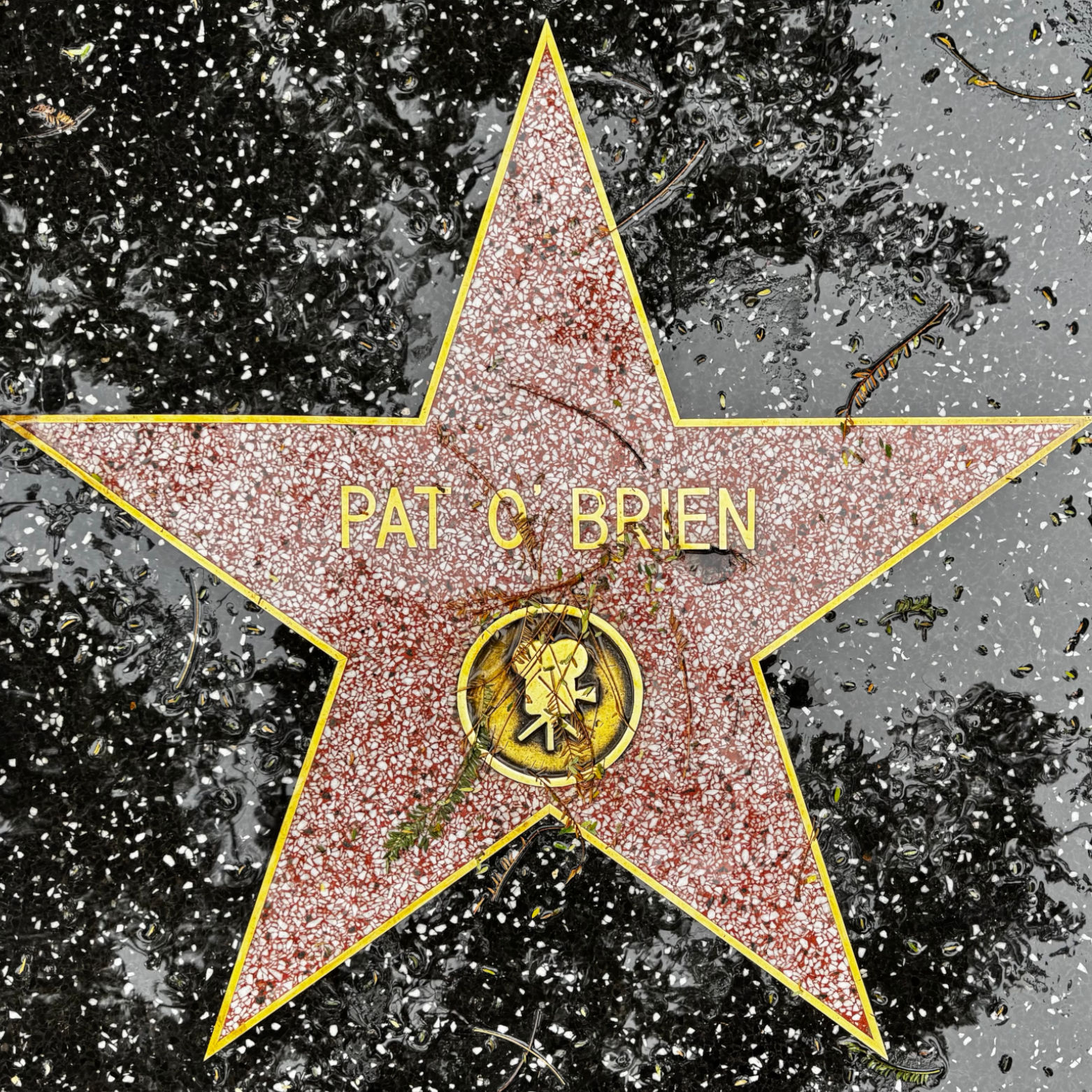 Pat O'Brien's Motion Pictures Star Pat O'Brien's Motion Pictures Star