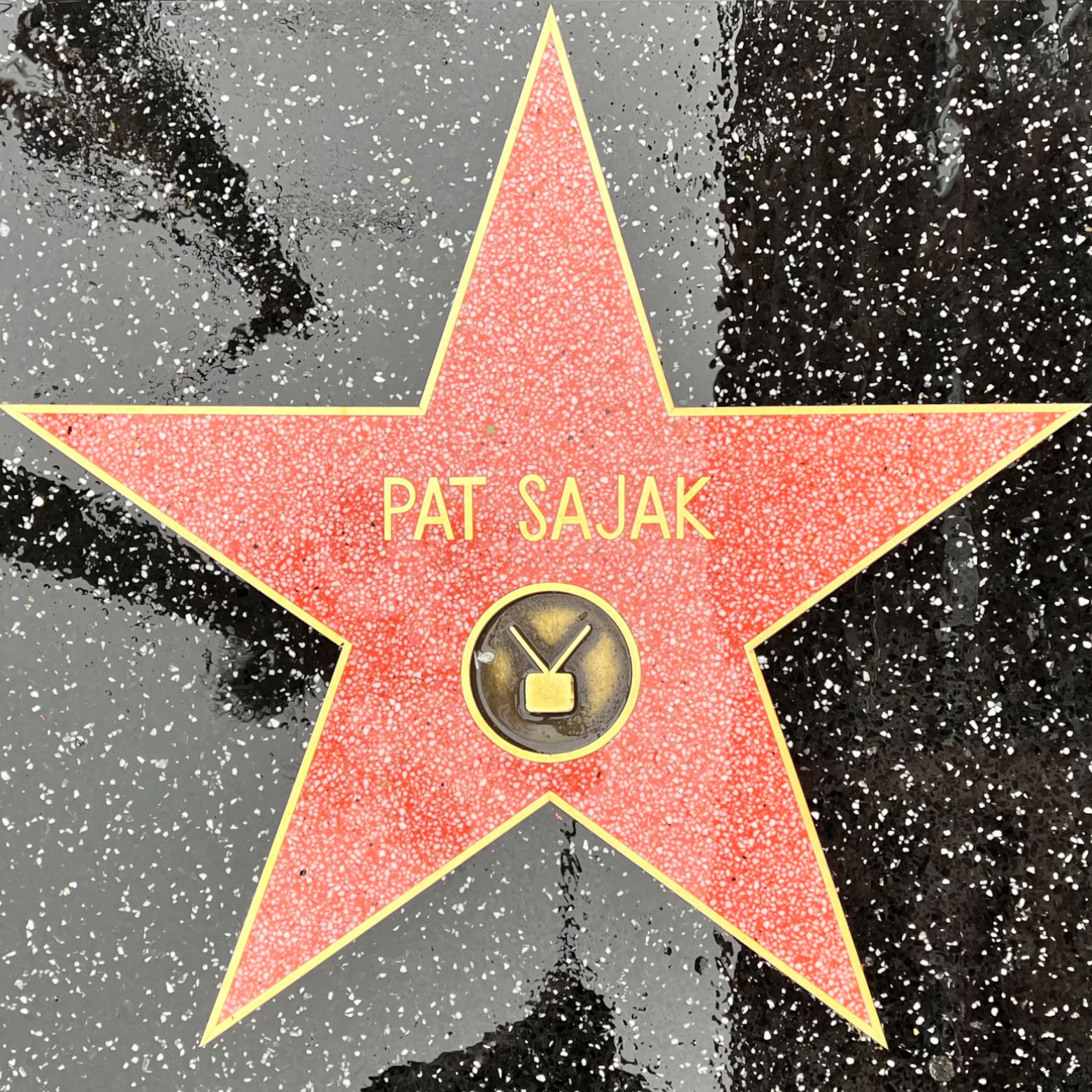 Pat Sajak's Television Star