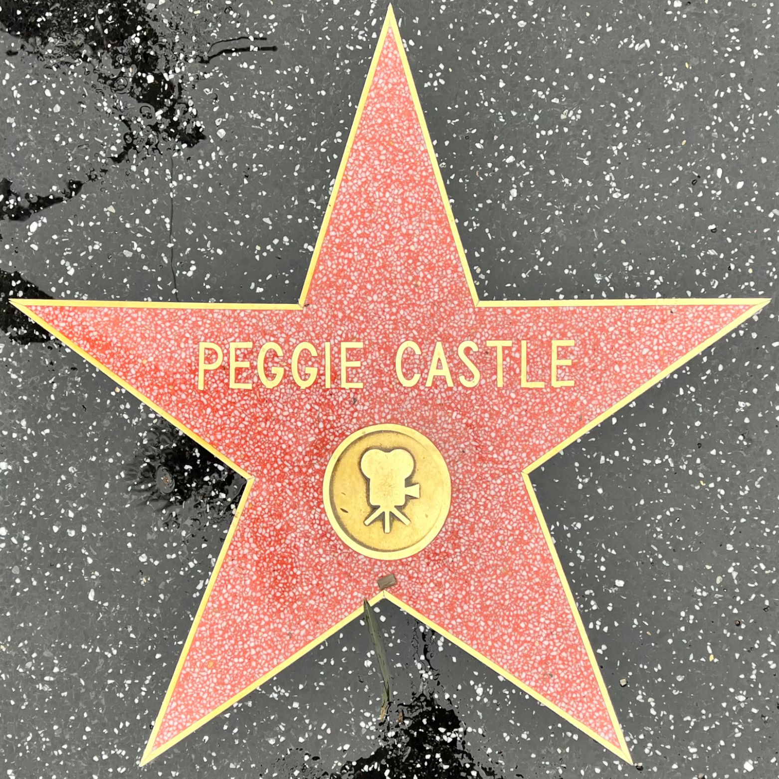 Peggie Castle's Television Star Peggie Castle's Television Star