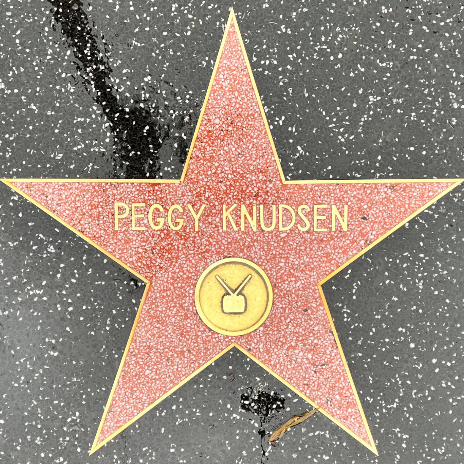 Peggy Knudsen's Television Star