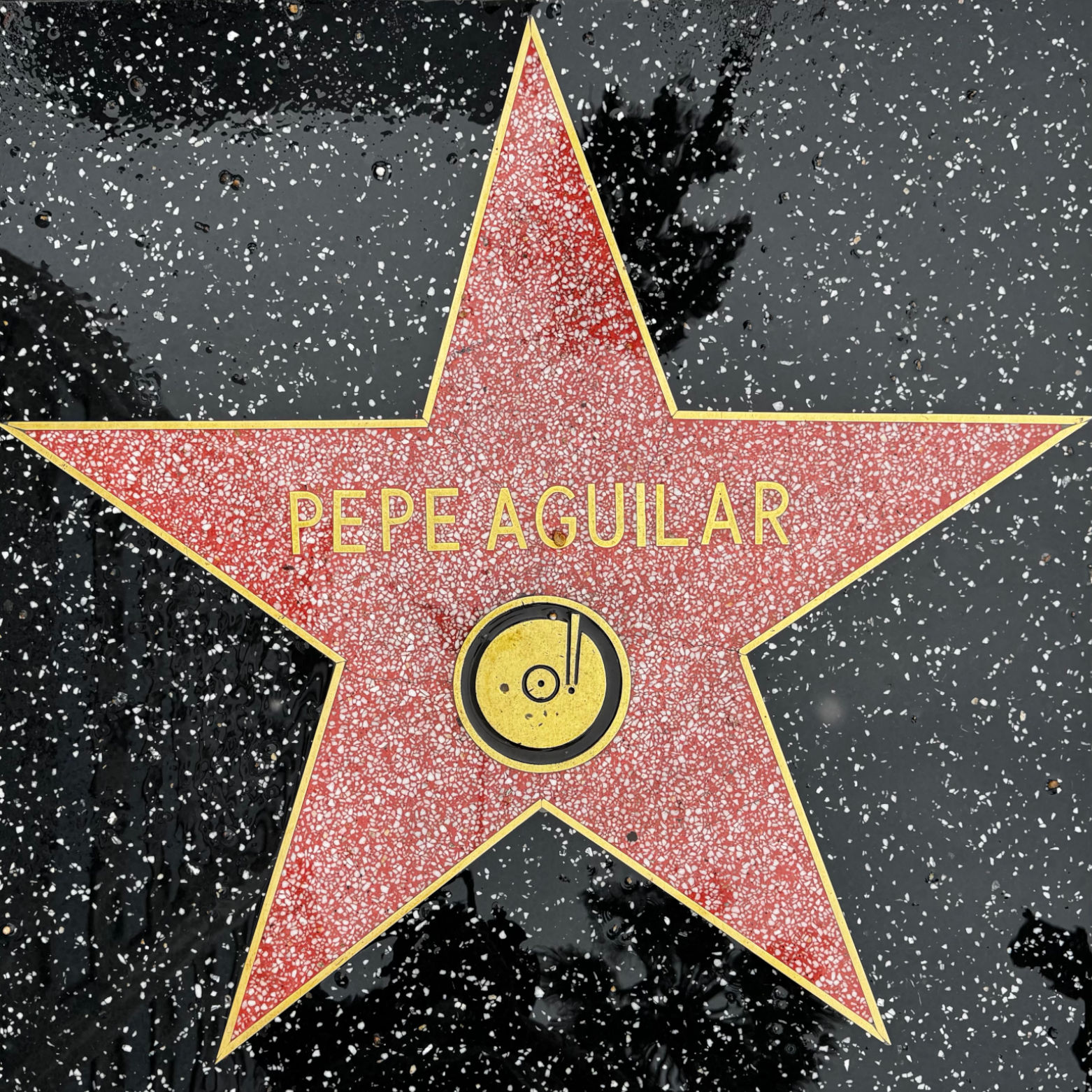 Pepe Aguilar's Recording Star Pepe Aguilar's Recording Star