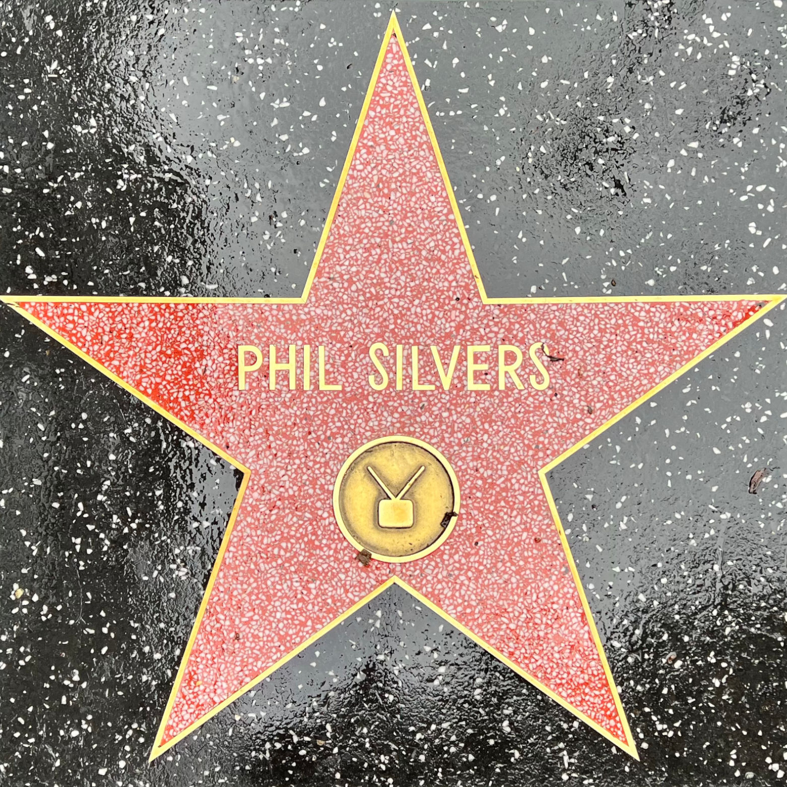 Phil Silvers's Television Star