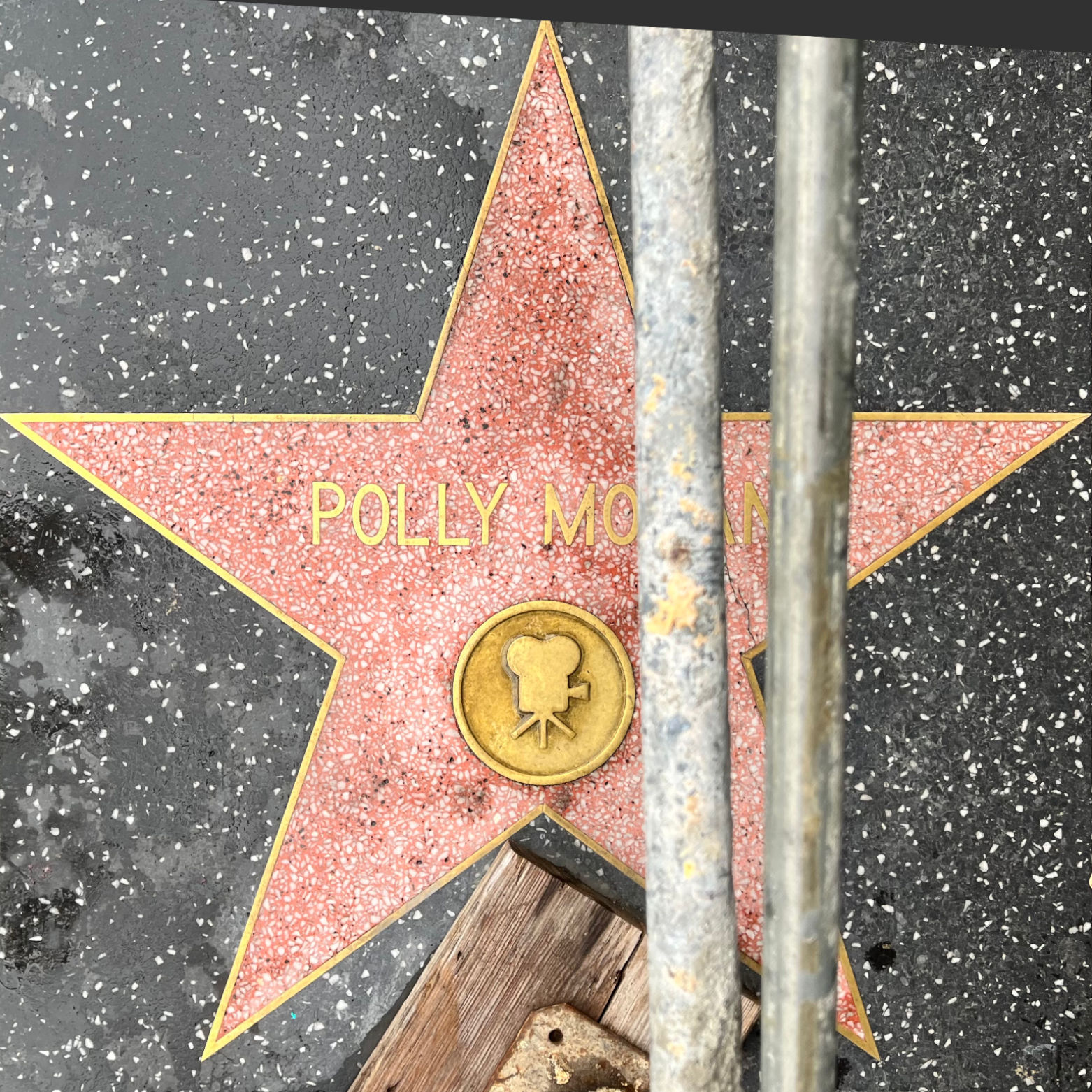 Polly Moran's Motion Pictures Star