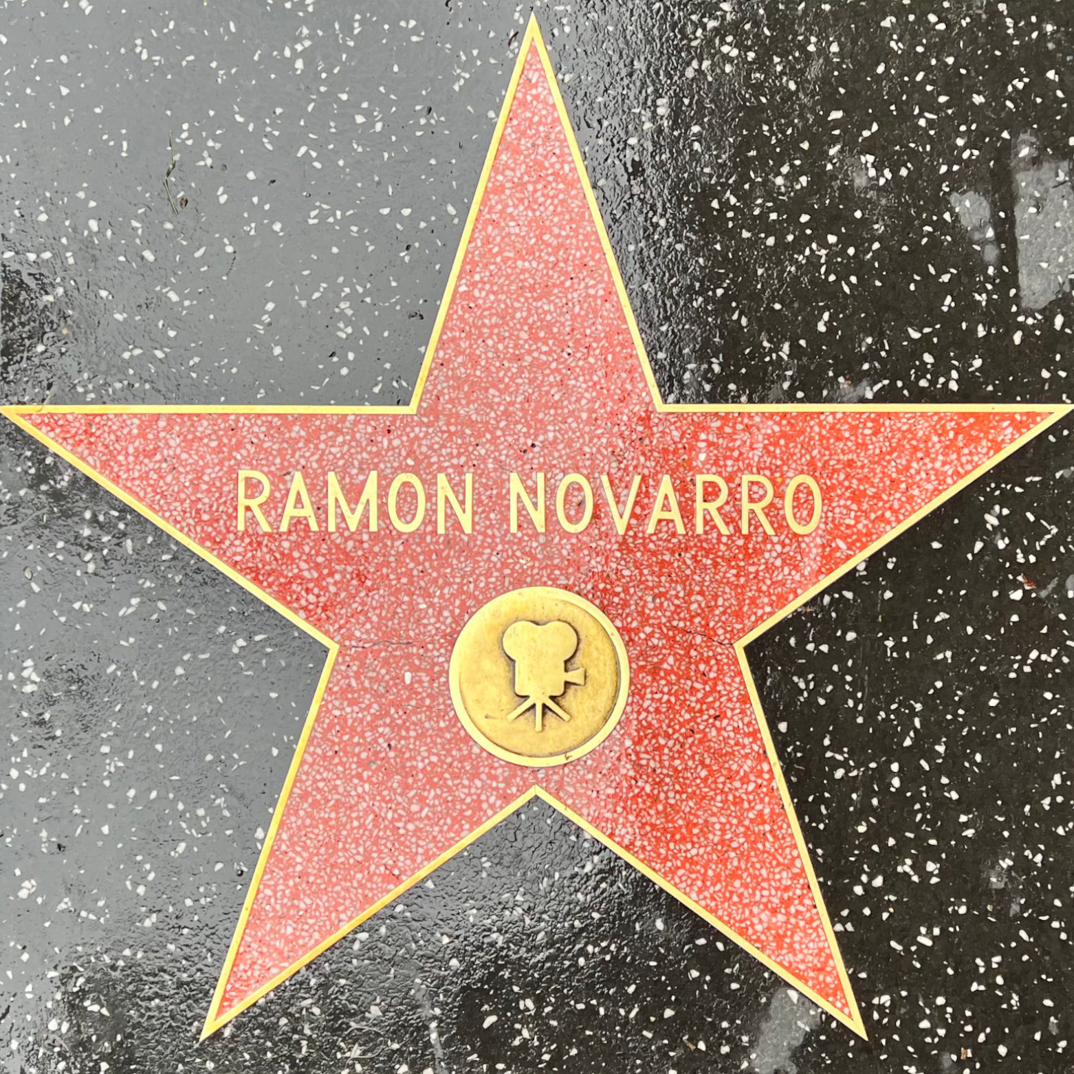 Ramon Novarro's Motion Pictures Star