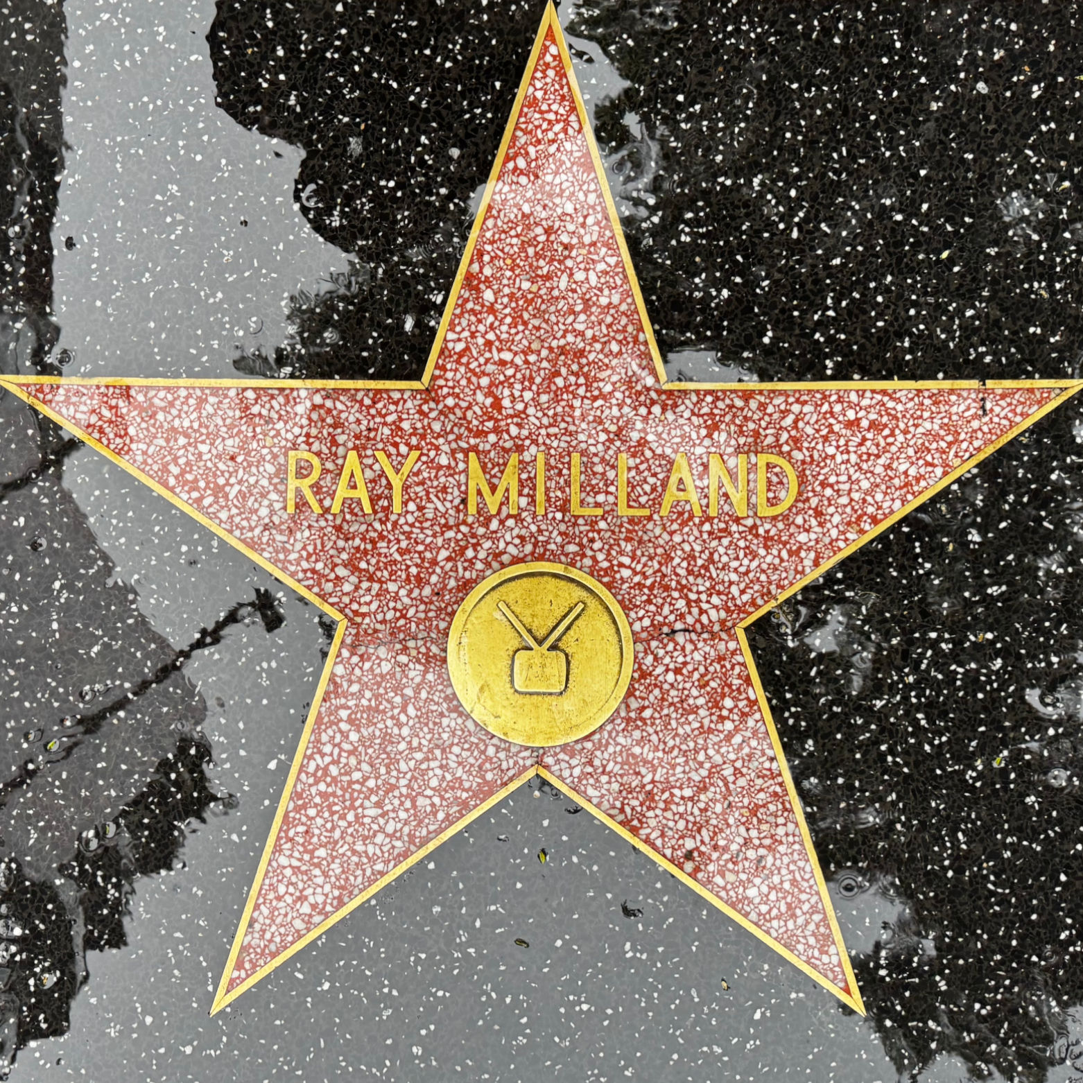 One of Ray Milland's Stars