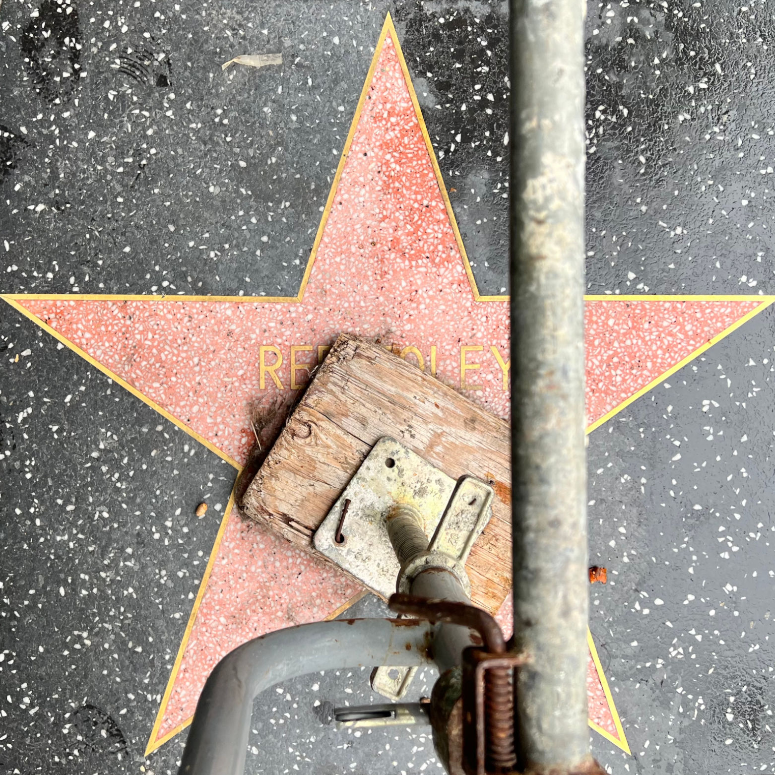 Red Foley's Television Star