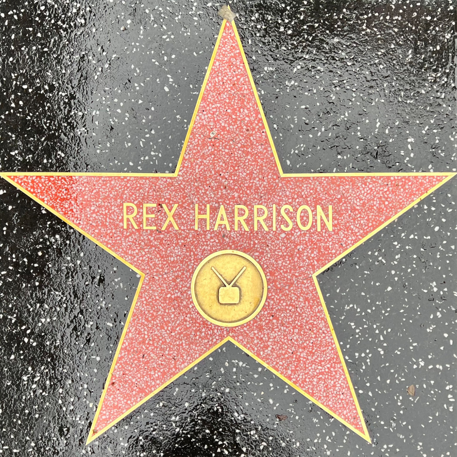 Rex Harrison's Television Star