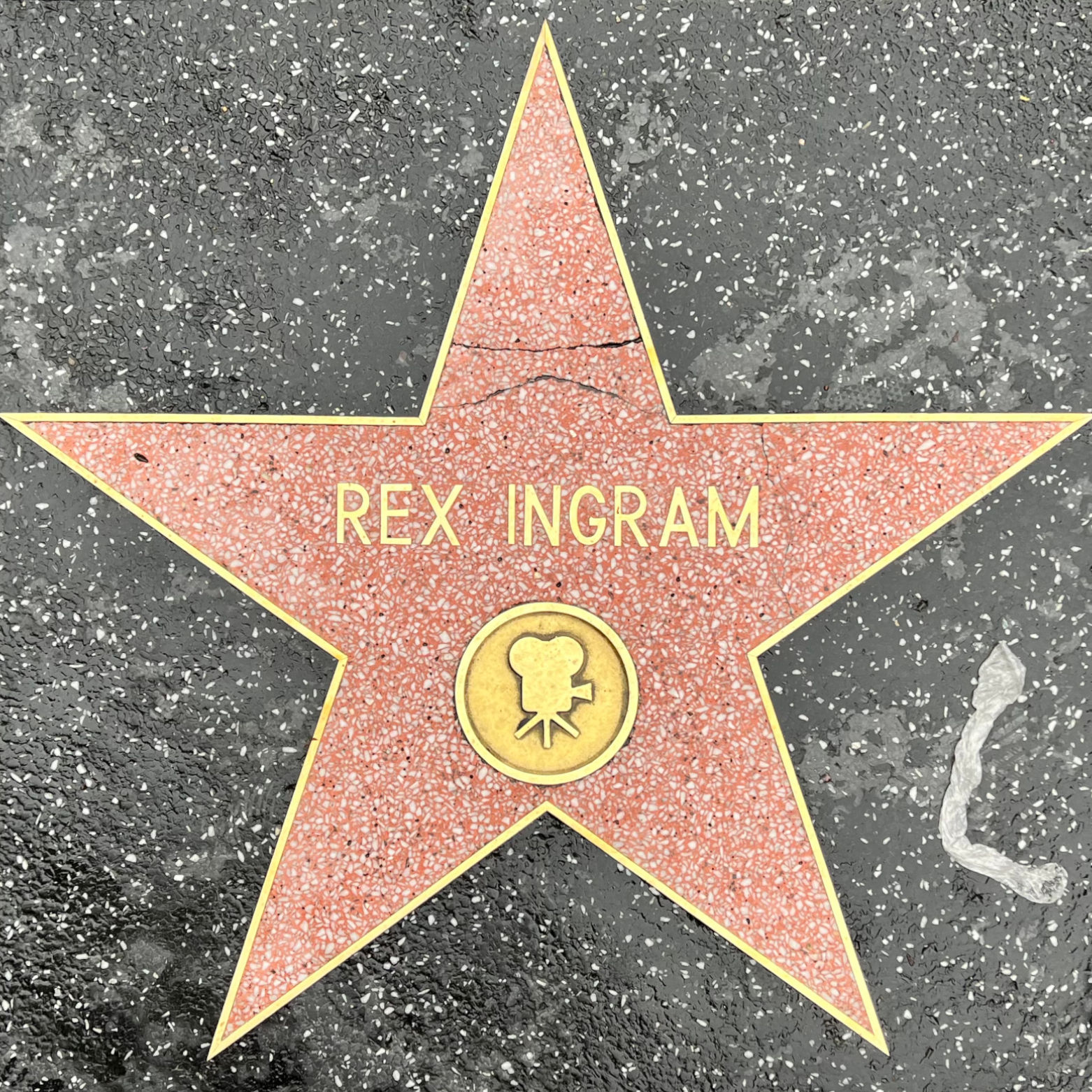 Rex Ingram's Motion Pictures Star